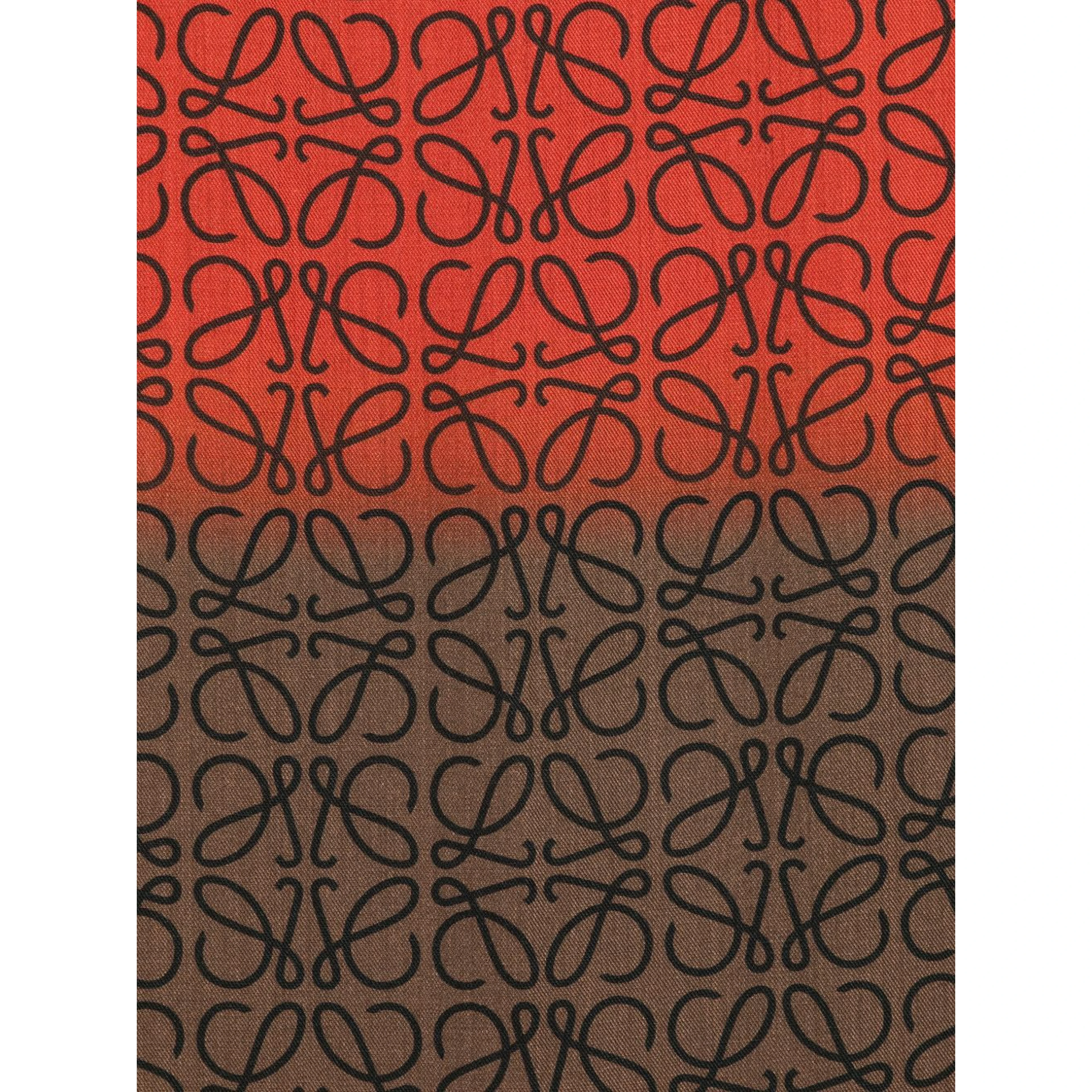 Loewe Scarfs Multicolor