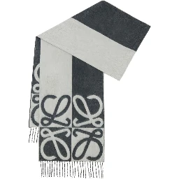 Loewe Scarfs