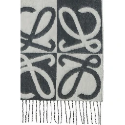Loewe Scarfs