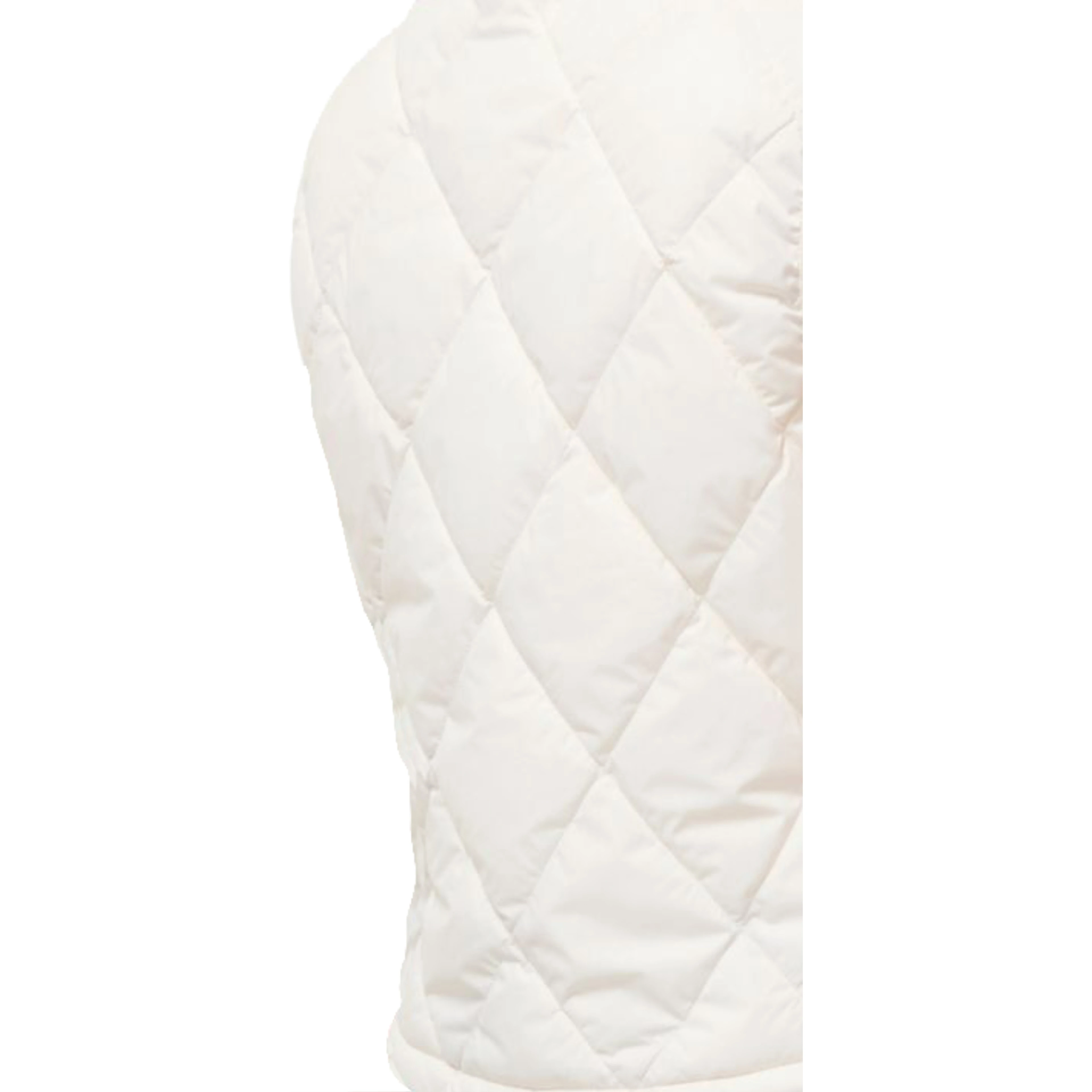 Burberry Jackets