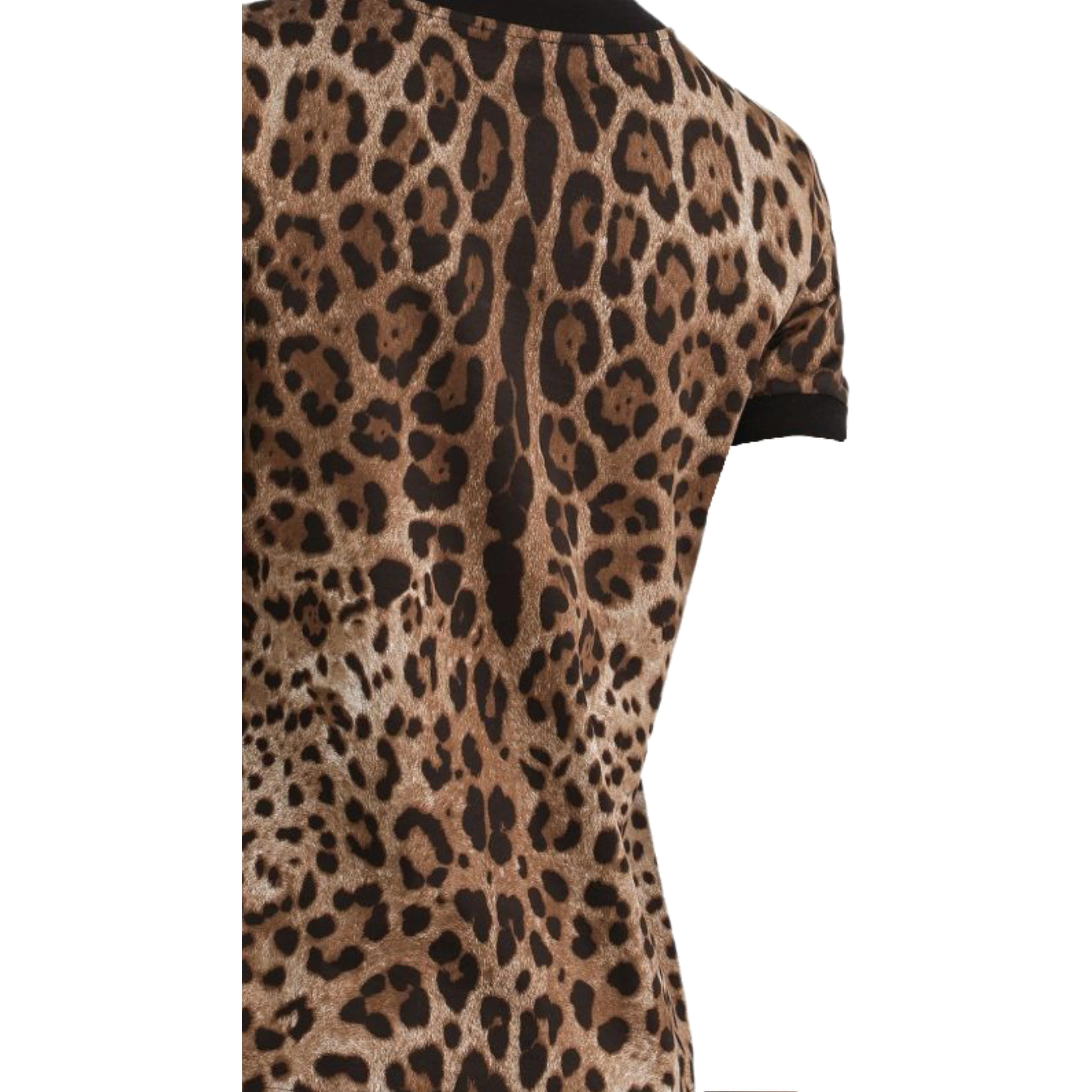 Dolce & Gabbana T-shirts and Polos