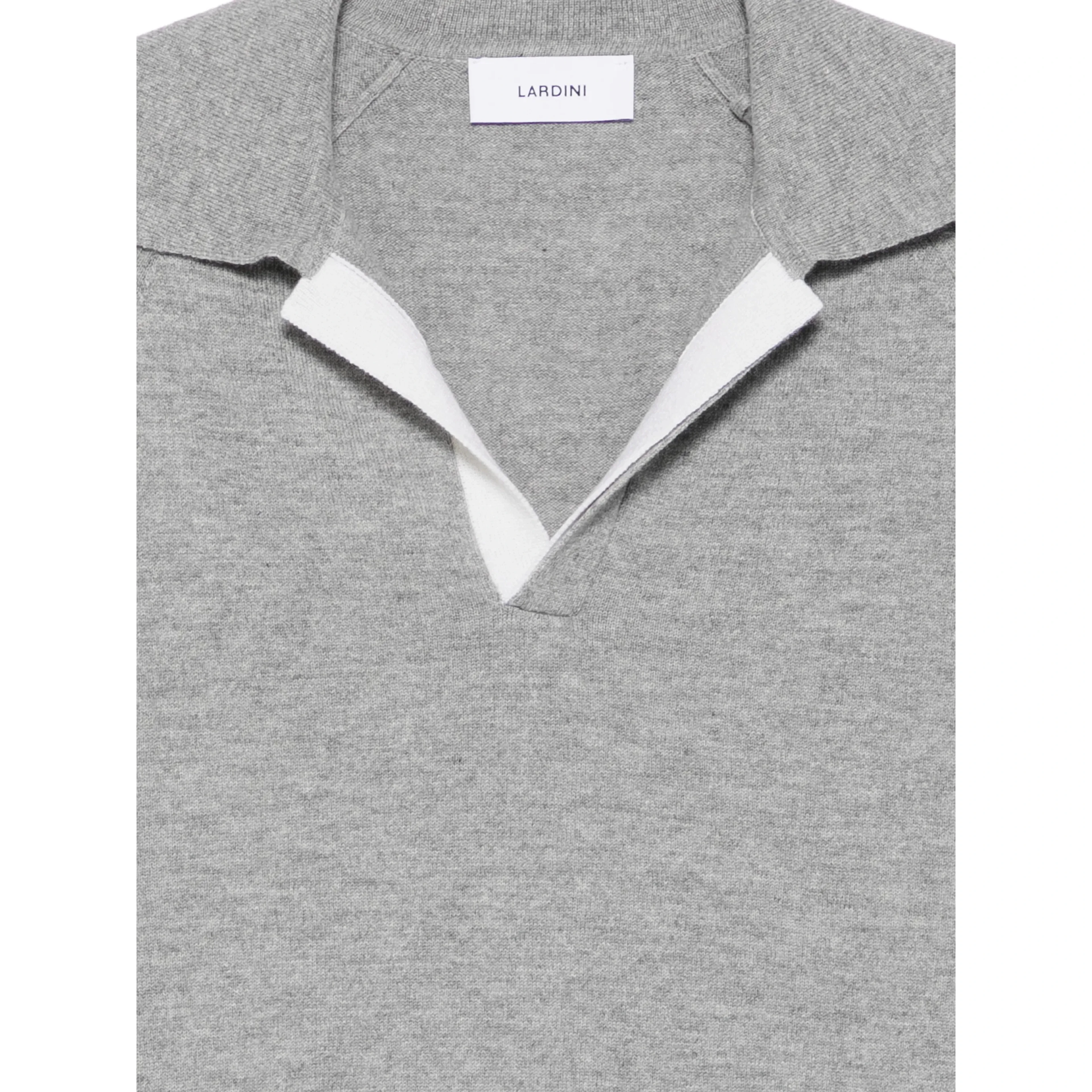 Lardini T-shirts and Polos