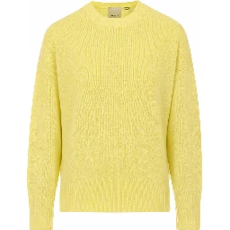 Allude Sweaters