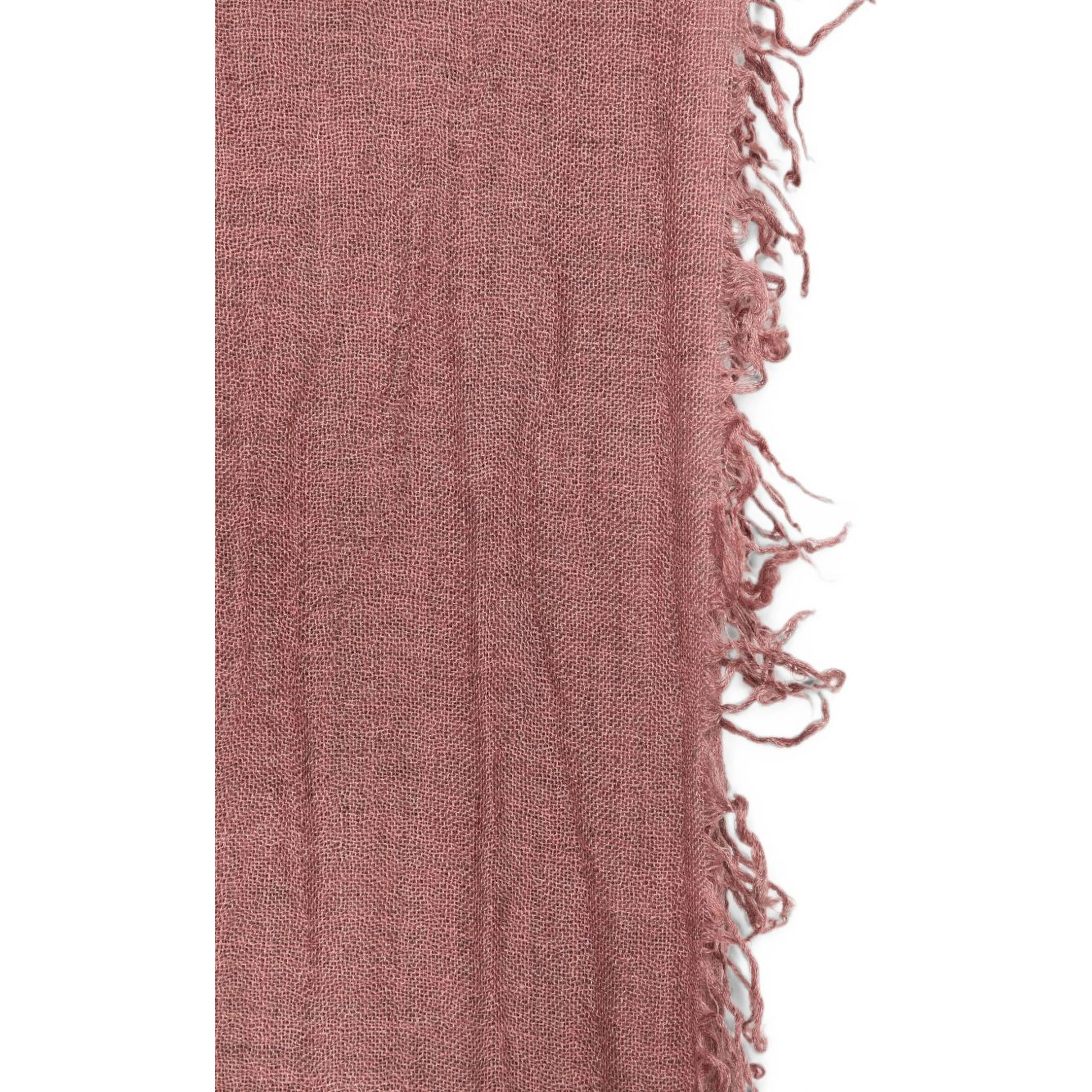 FALIERO SARTI Scarfs