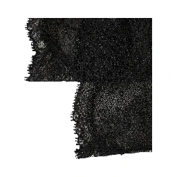 Black Floral Lace Nylon Stretch Knee High Socks
