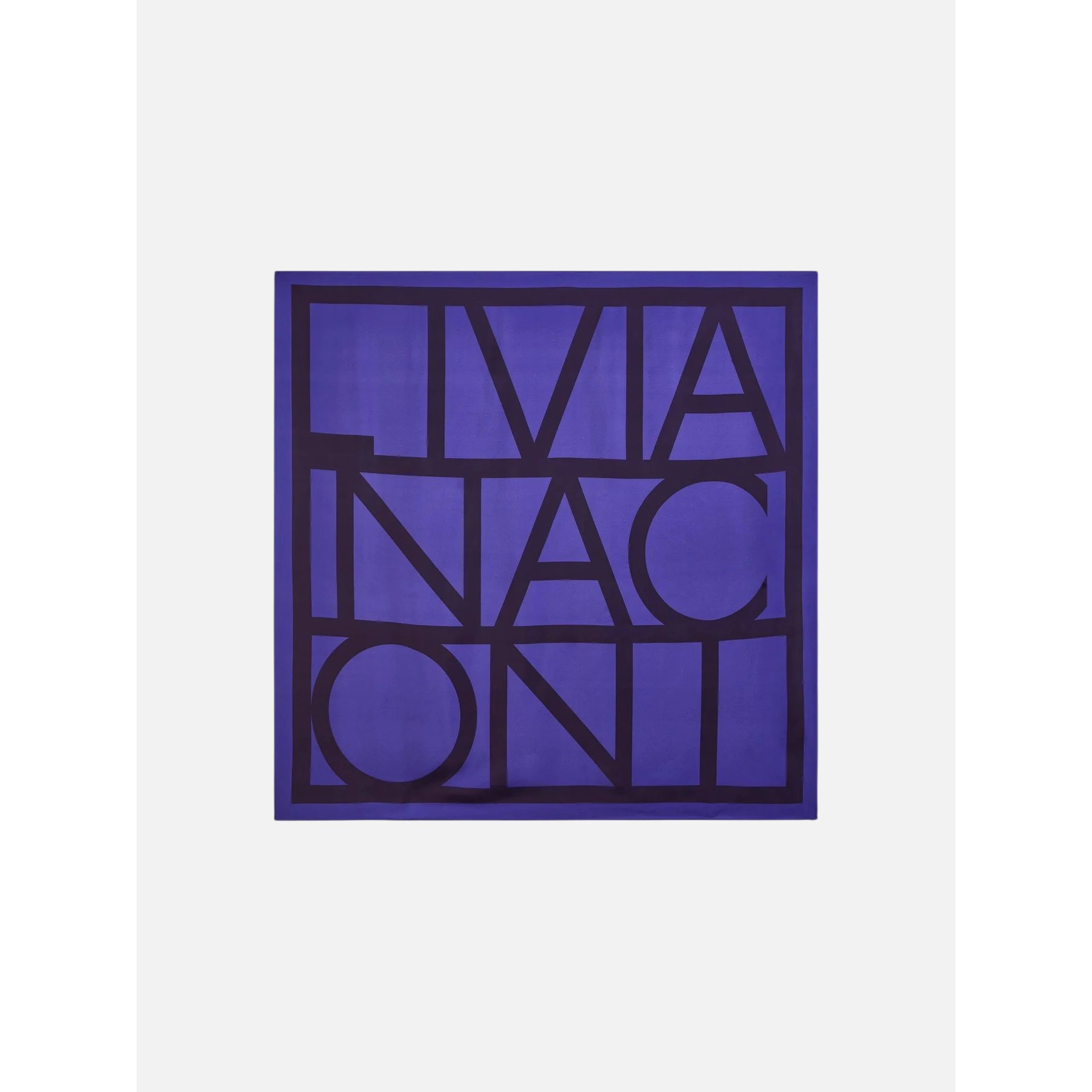 LIVIANA CONTI CARLOTTA scarf