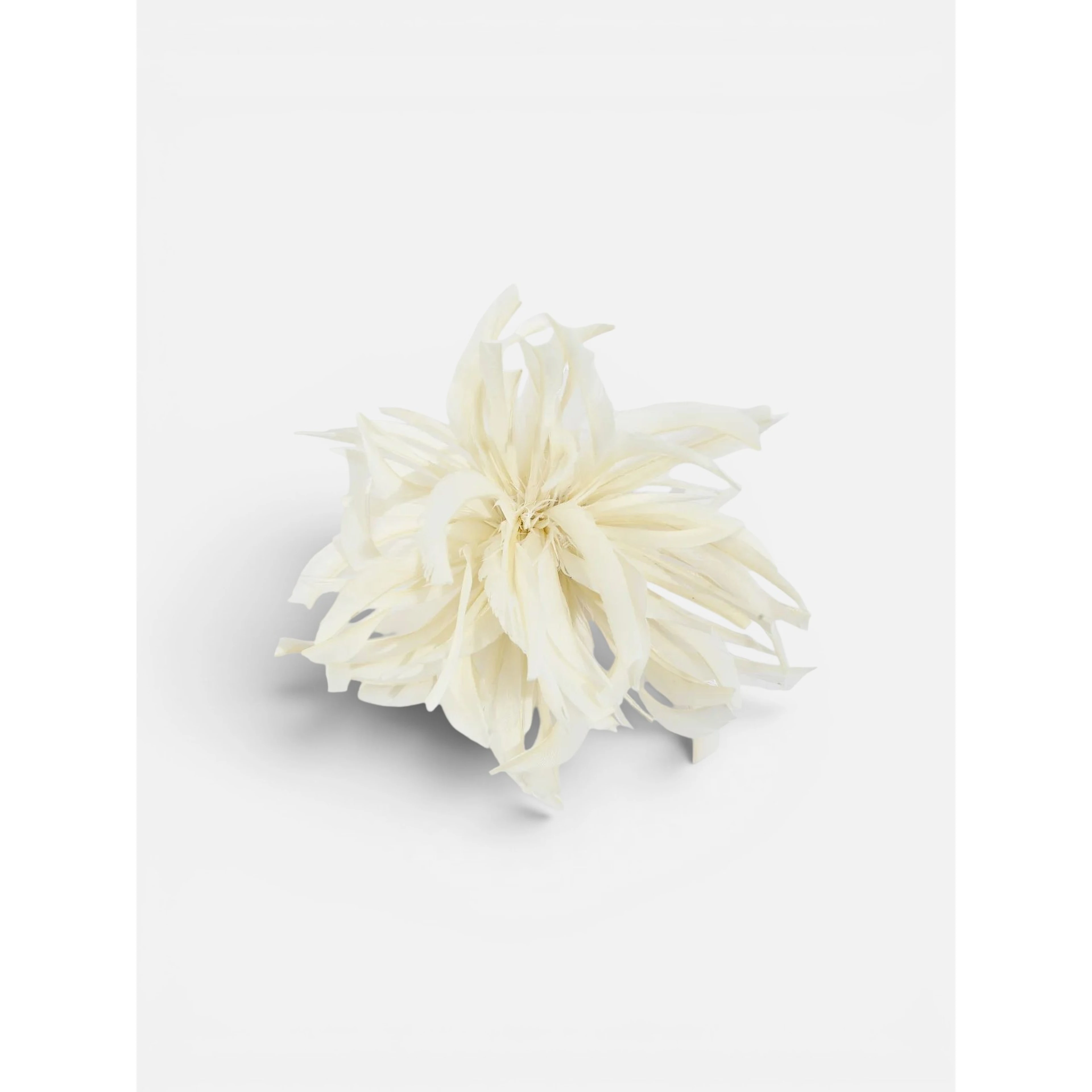 LIVIANA CONTI ZELMA brooch