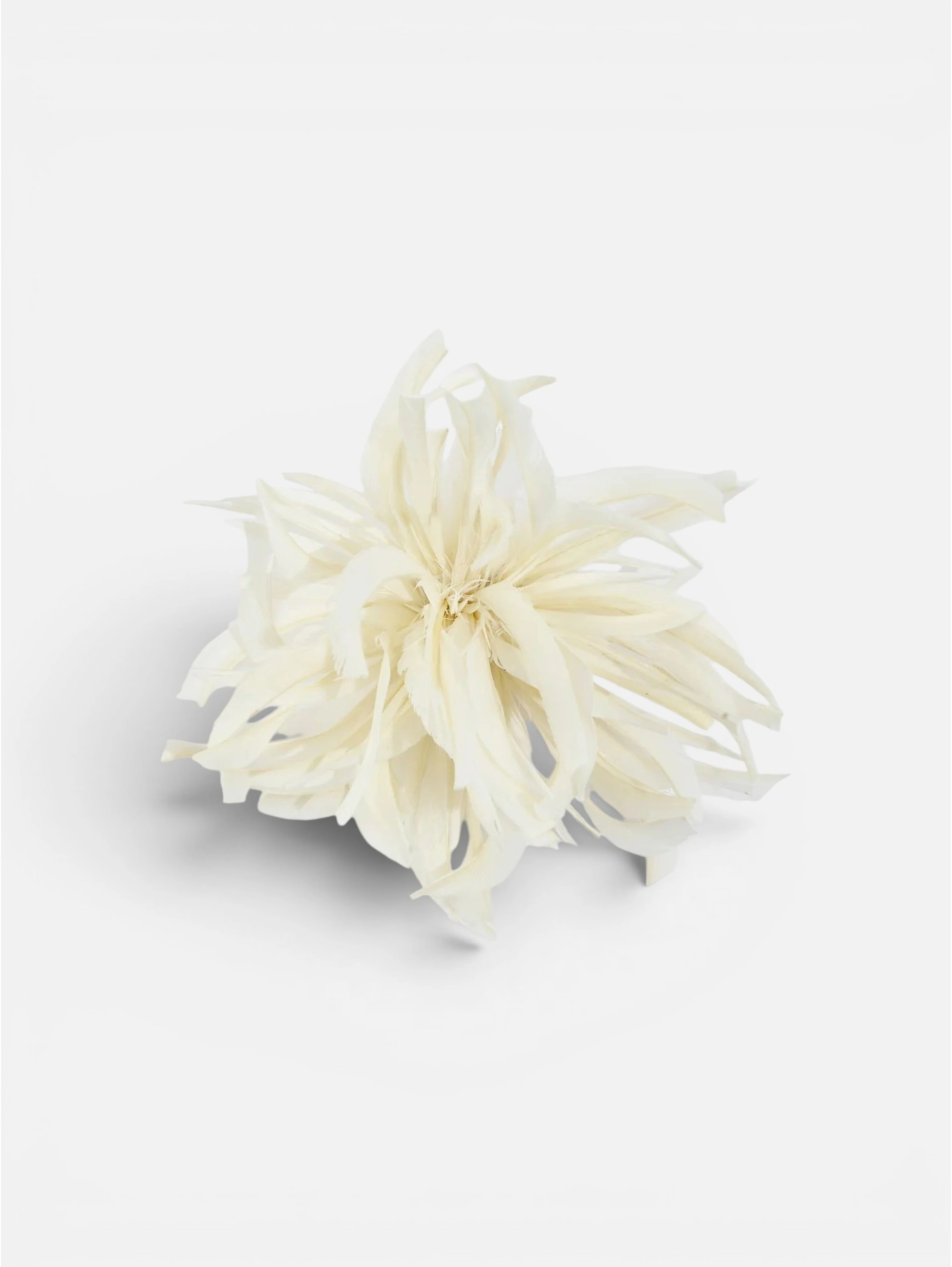 LIVIANA CONTI ZELMA brooch