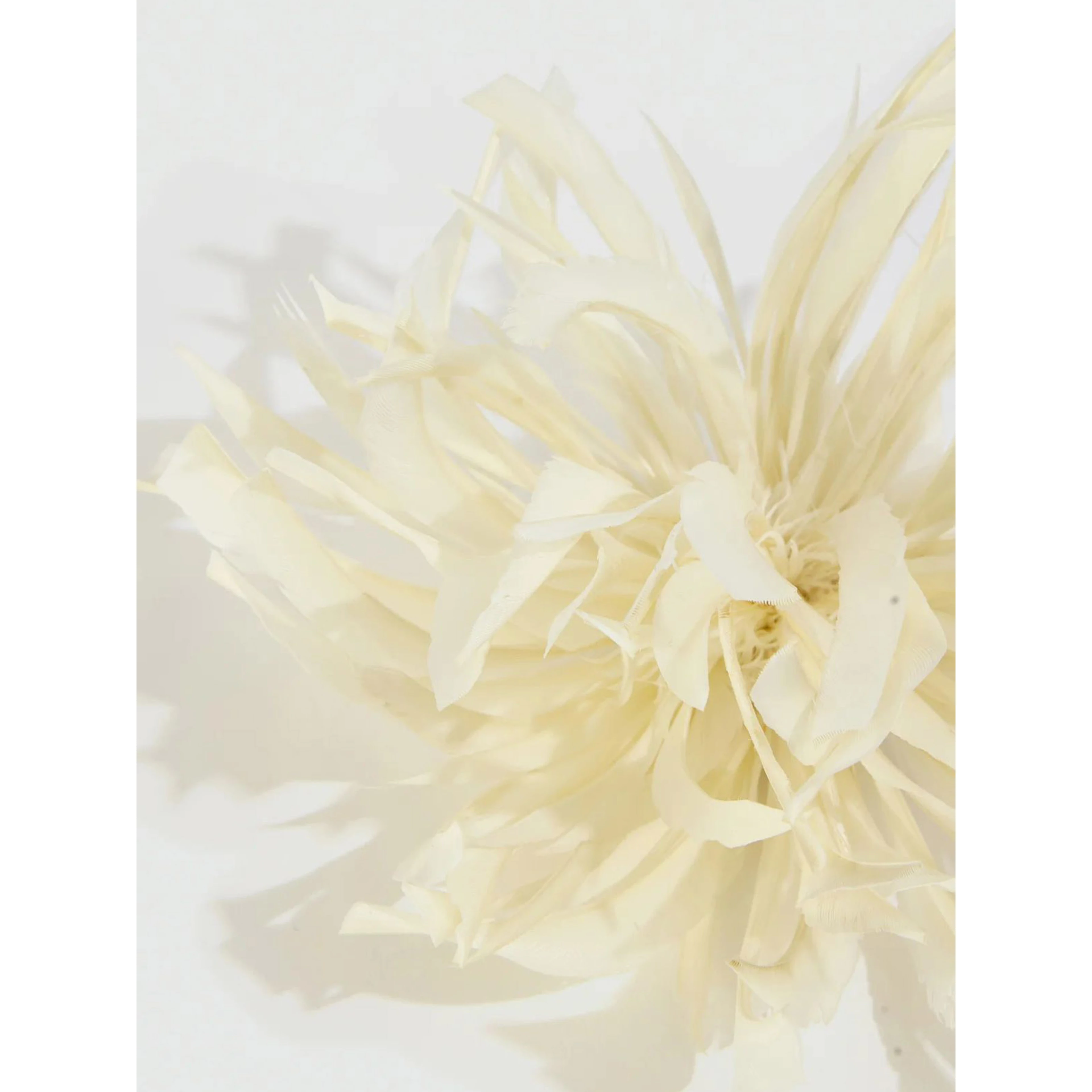 LIVIANA CONTI ZELMA brooch