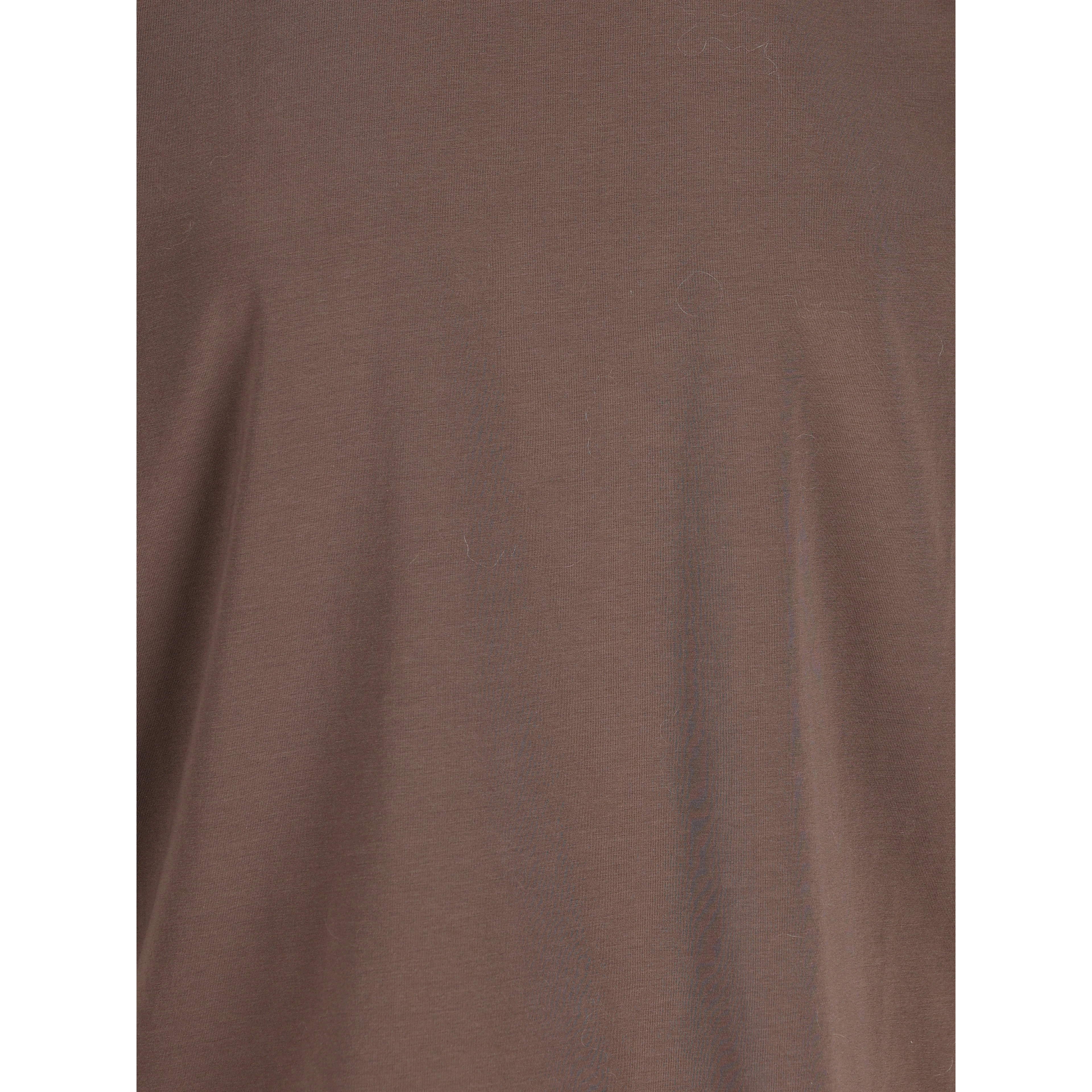 Brunello Cucinelli T-shirts and Polos Brown