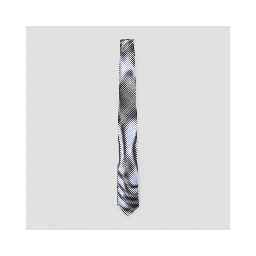 Brioni Silk Tie