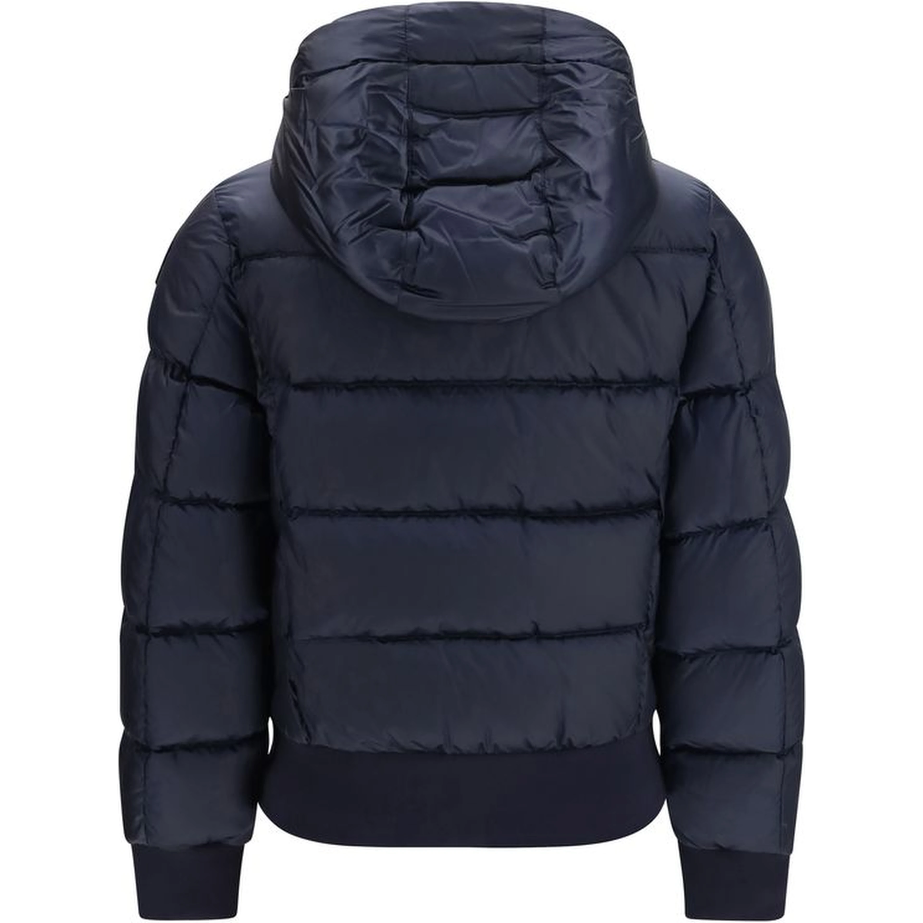 Blue Goose Down Full-Length Jacket