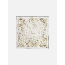CHRISTIAN DIOR scarf
