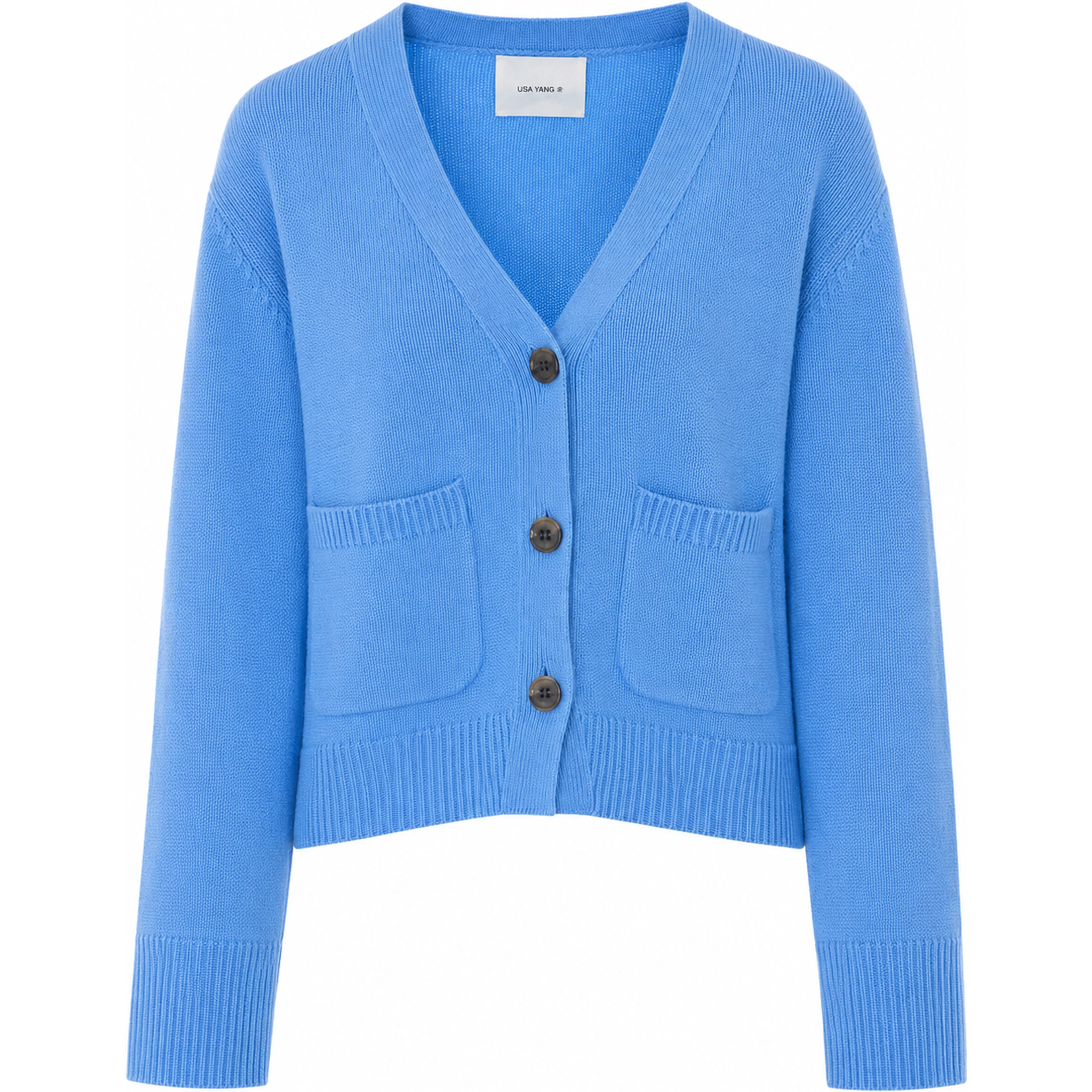 LISA YANG Sweaters Blue