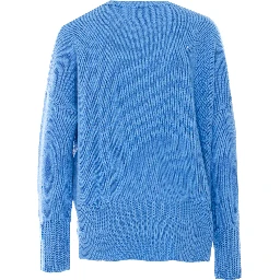 LISA YANG Sweaters Blue