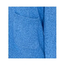 LISA YANG Sweaters Blue