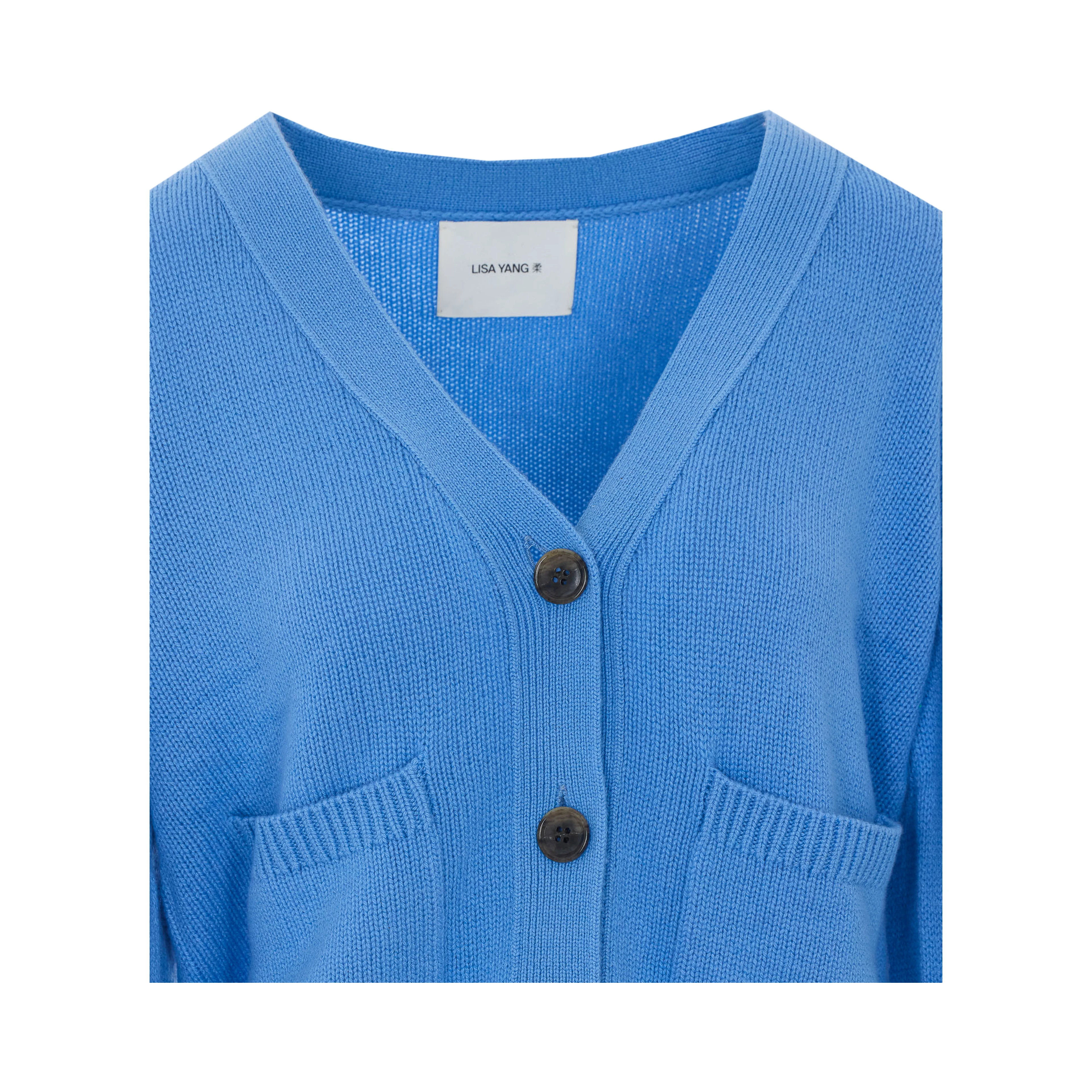 LISA YANG Sweaters Blue
