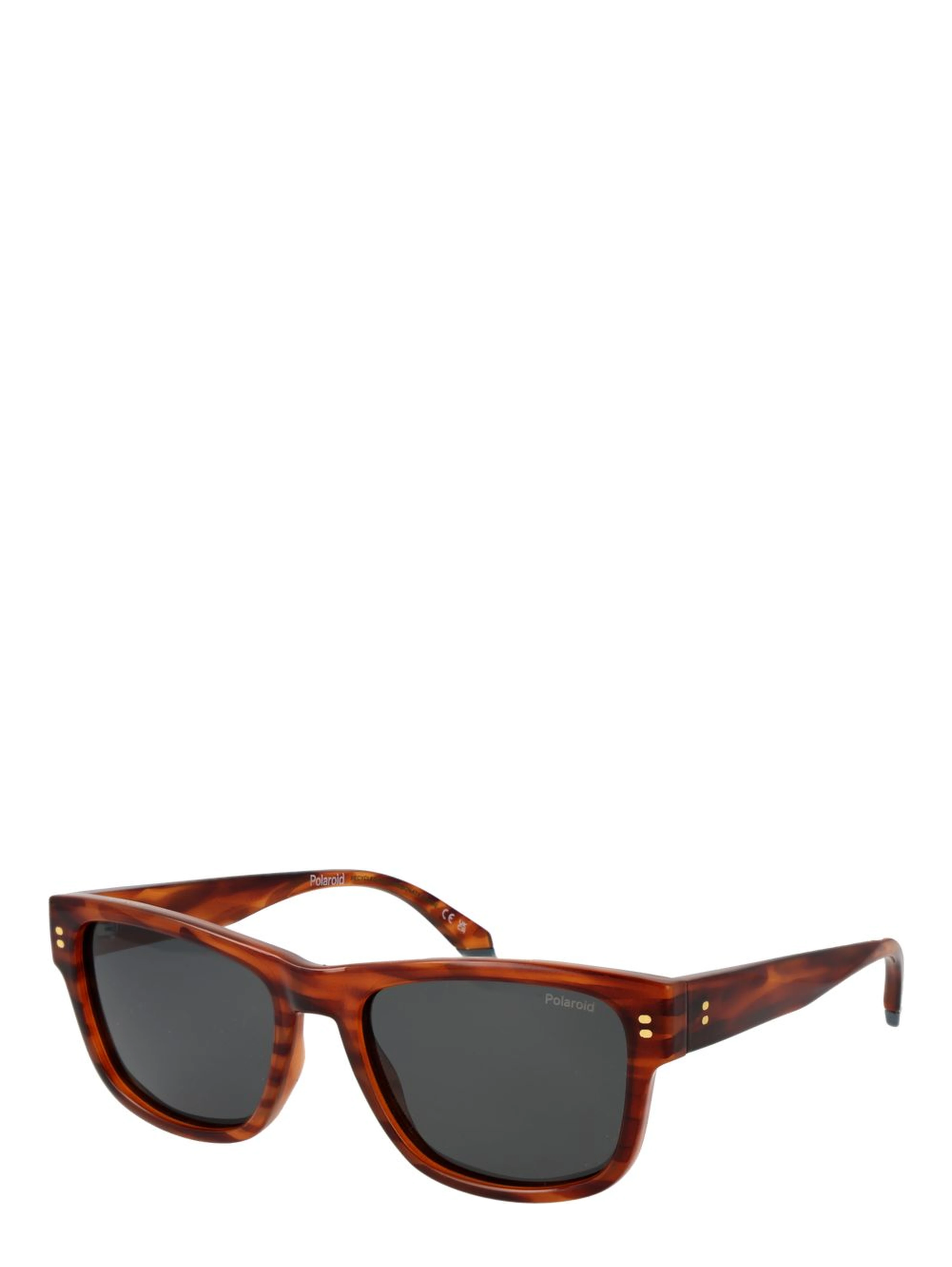 Brown Plastic Sunglasses