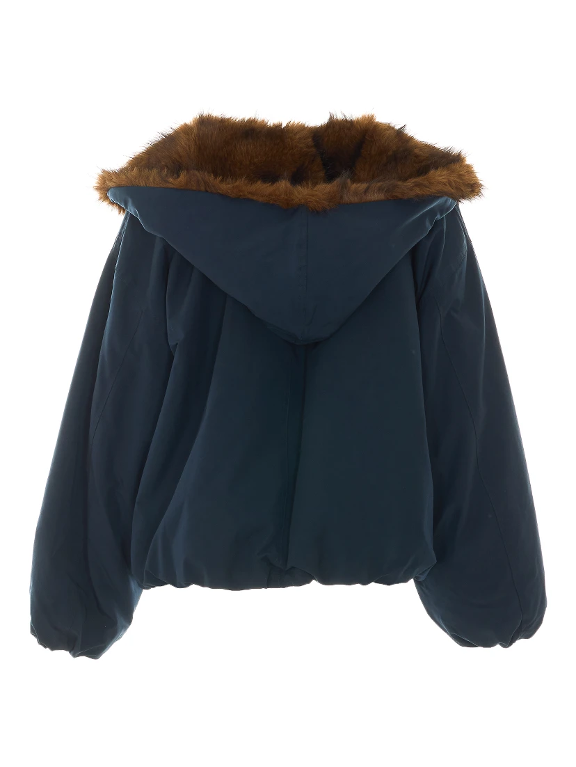 Eleh Jackets Blue