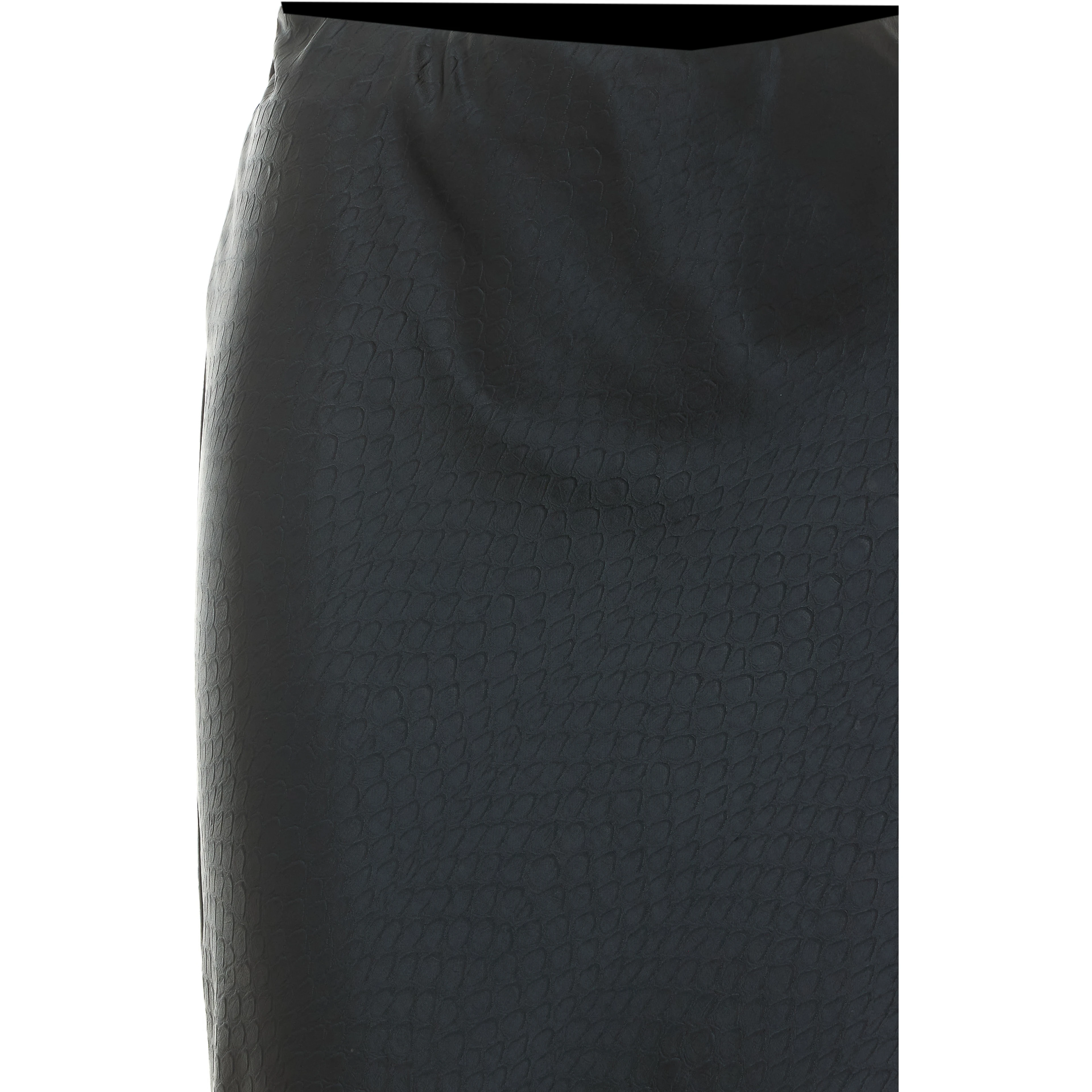 Elisabetta Franchi Skirts Black