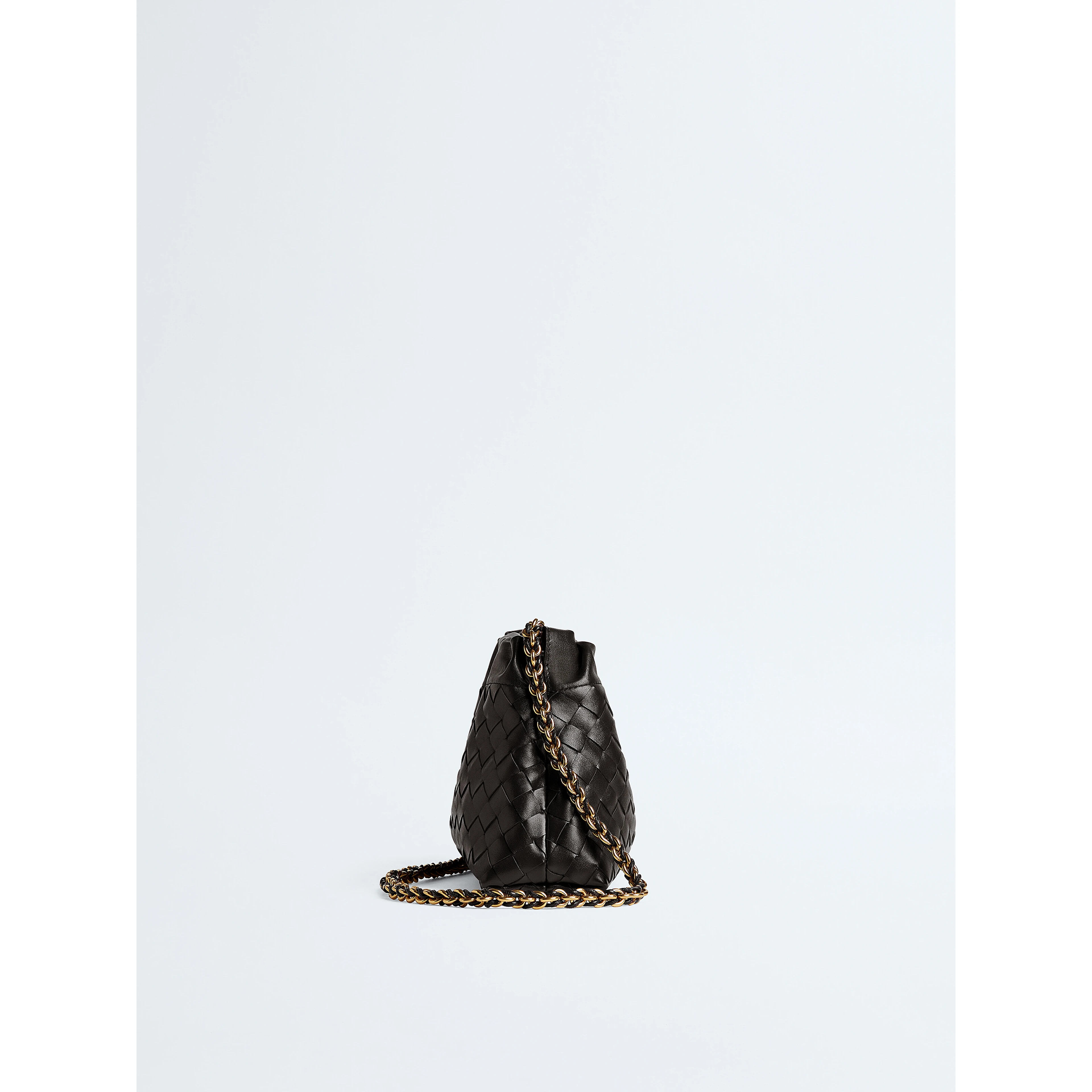 Bottega Veneta Bags