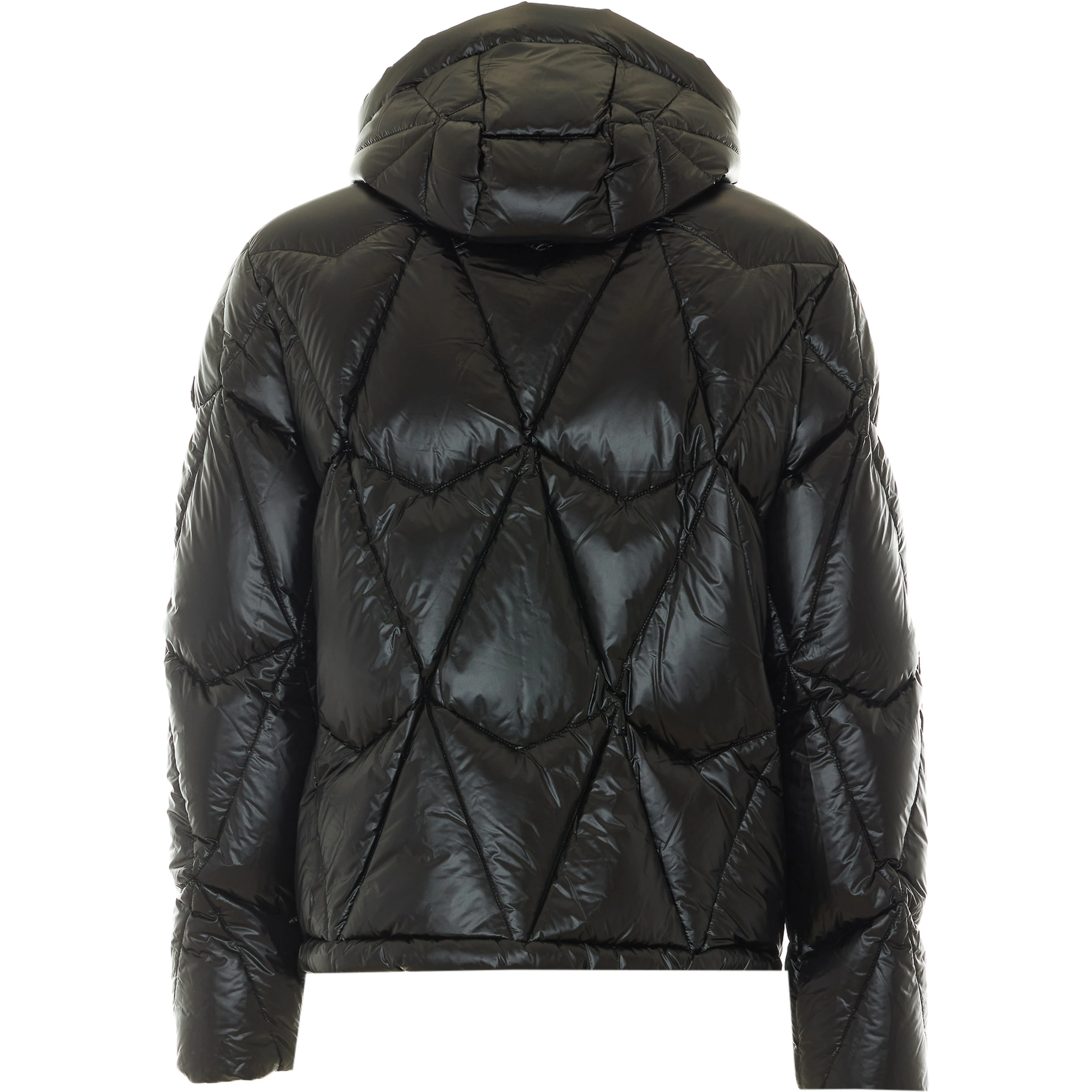 Moose Knuckles Jackets Black