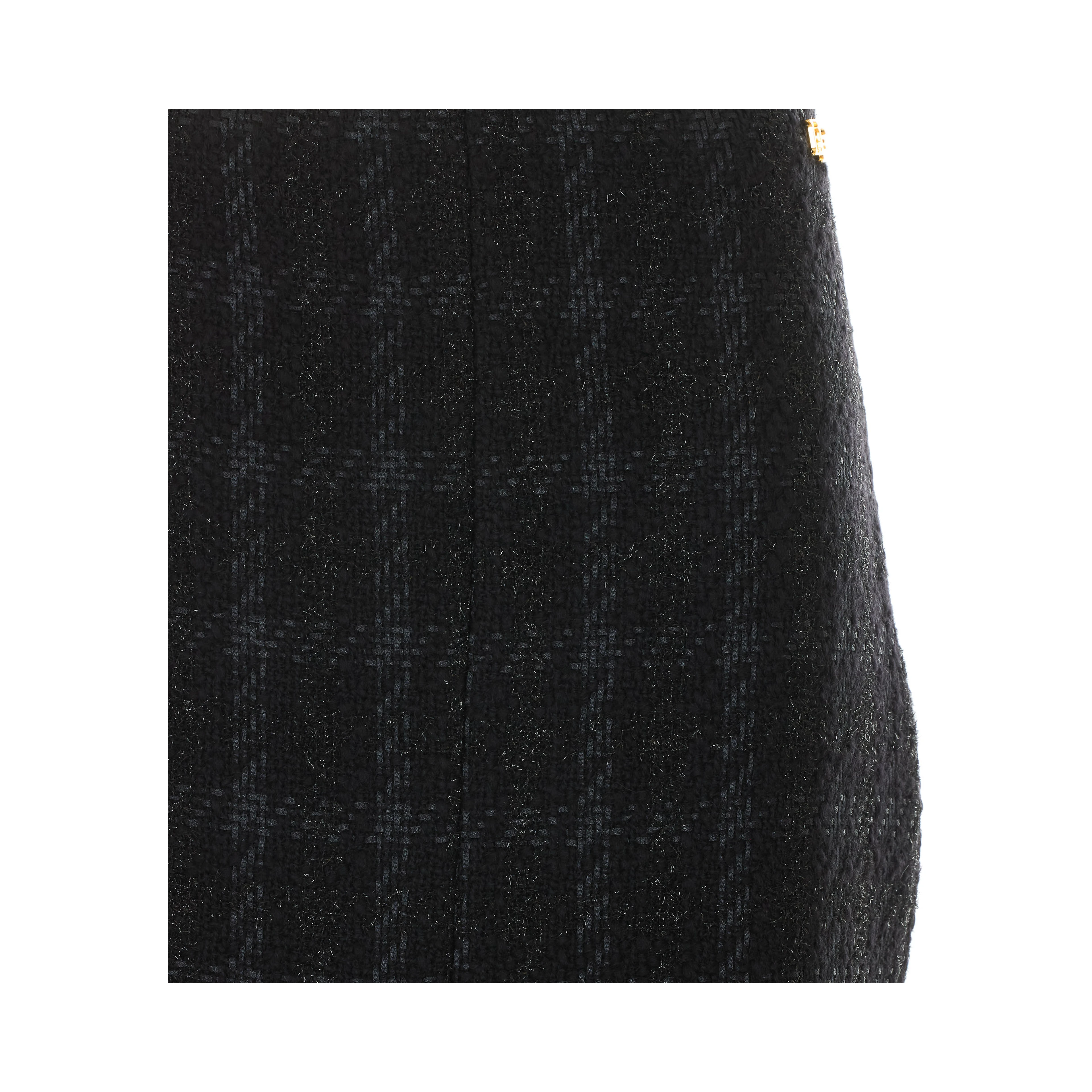 Elisabetta Franchi Skirts Black