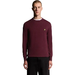 Bordeaux Cotton Sweatshirt