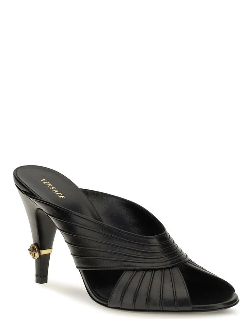Black Lamb Ovis Aries Aries Mules
