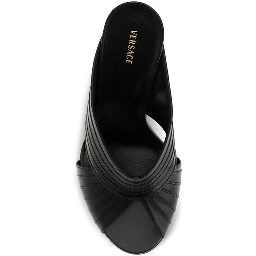 Black Lamb Ovis Aries Aries Mules