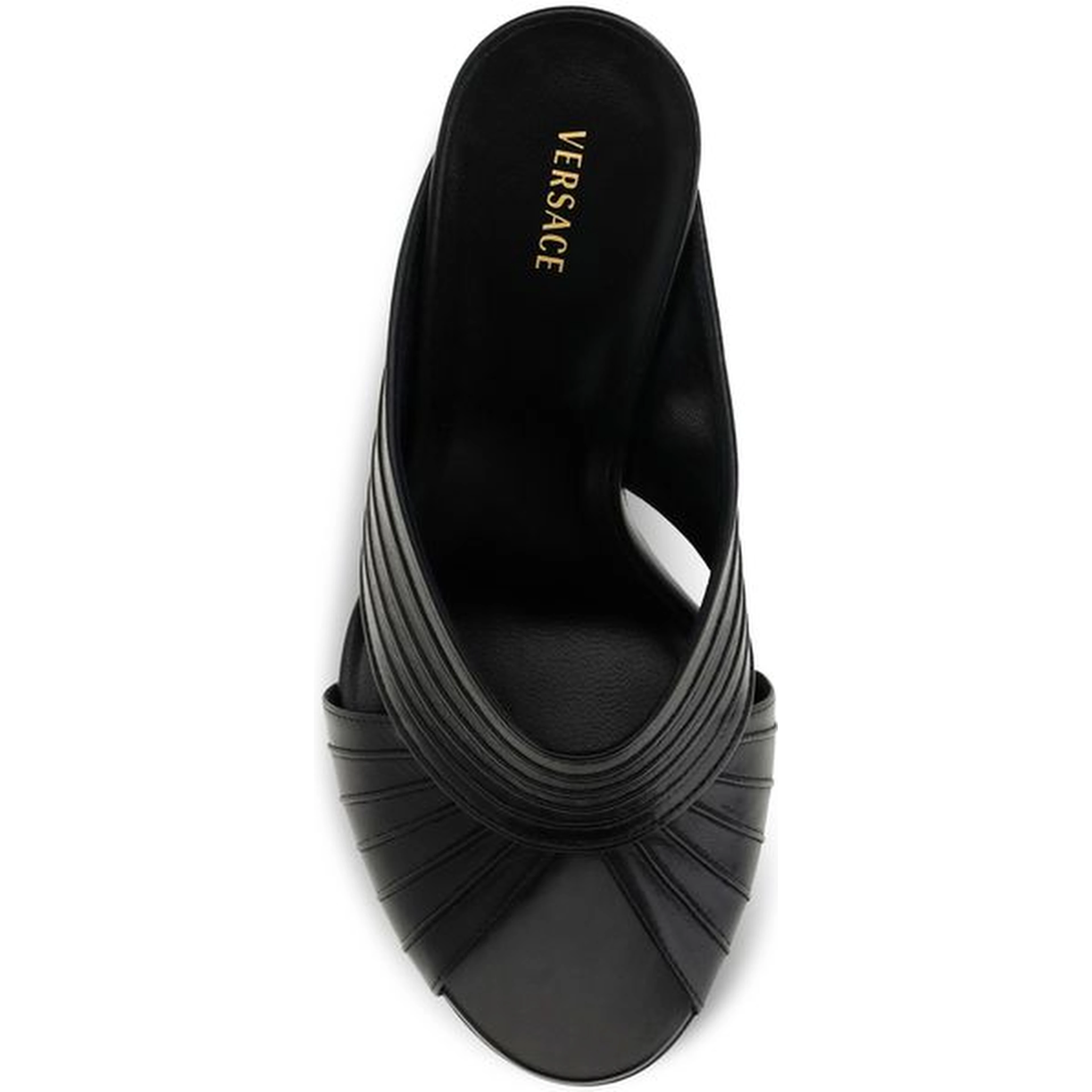 Black Lamb Ovis Aries Aries Mules