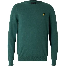 Green Cotton Sweater