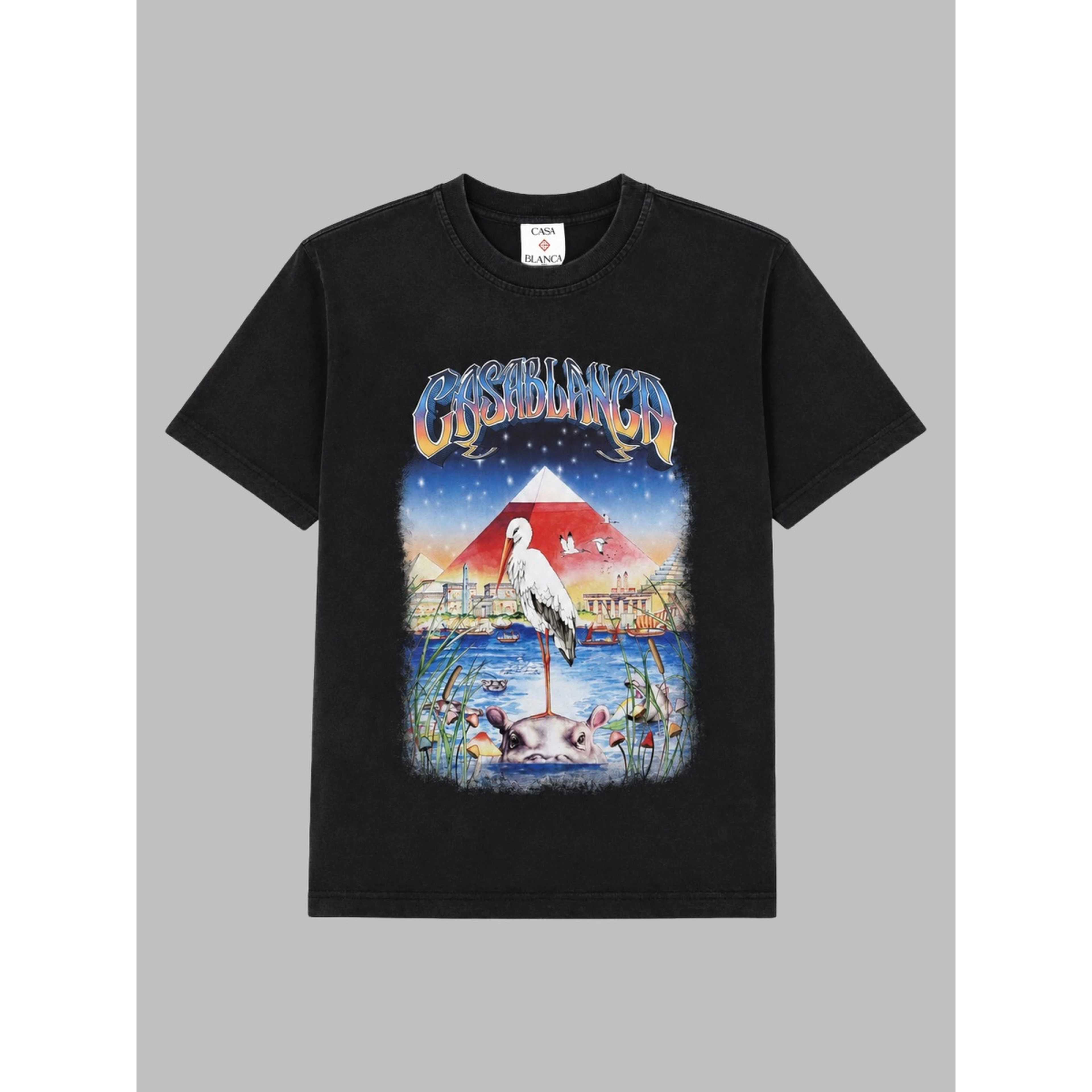 T-SHIRT OVERSIZE CON STAMPA "EGYPT"