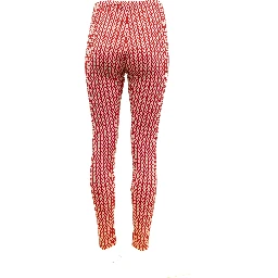 Women Silk Leggings