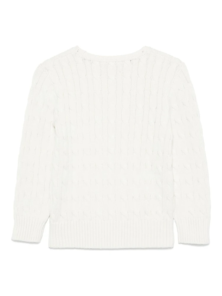 POLO RALPH LAUREN Sweaters alternative