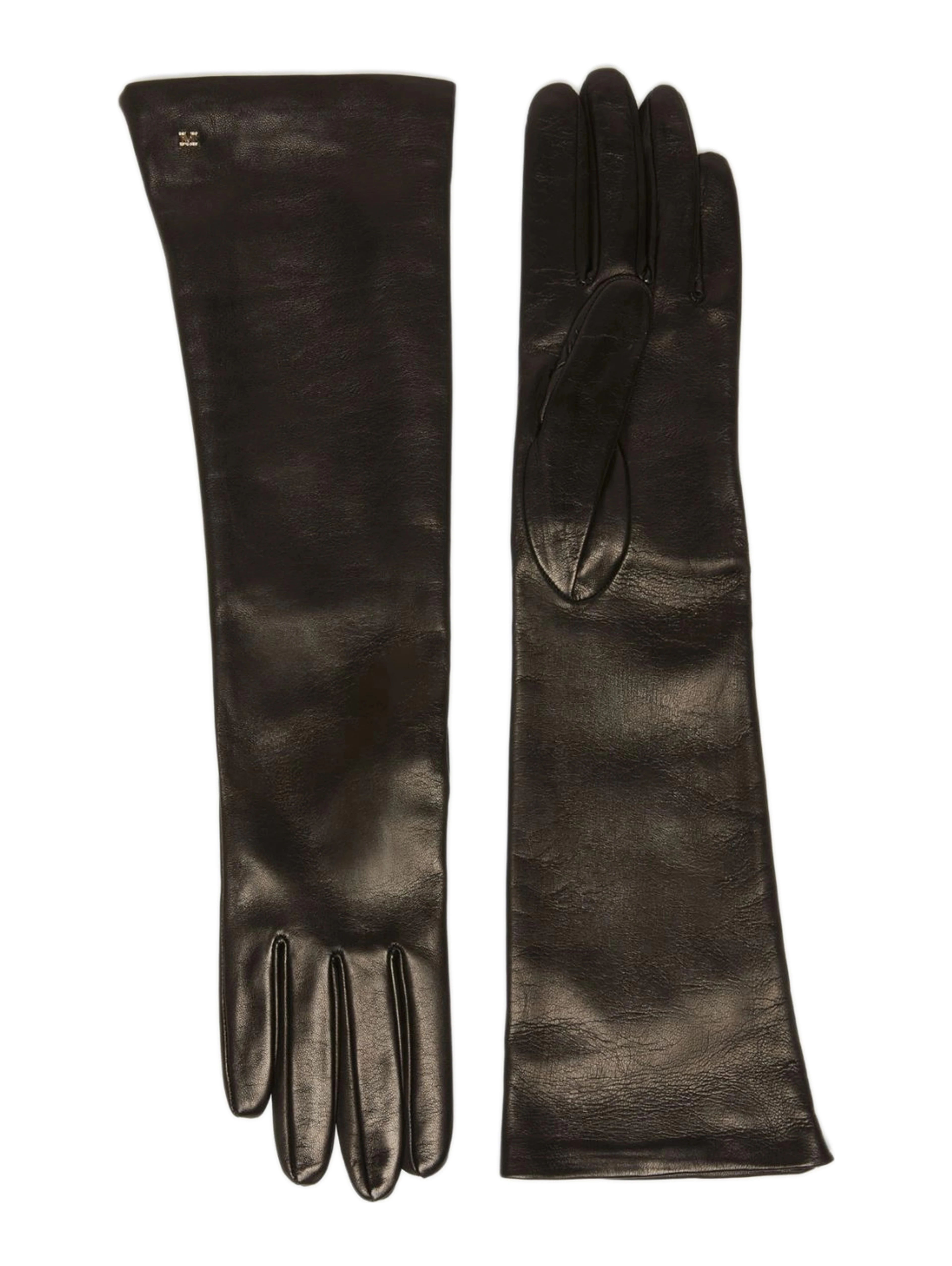 Max Mara Gloves