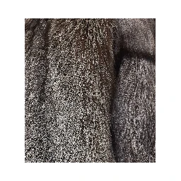 Yves Salomon Coats