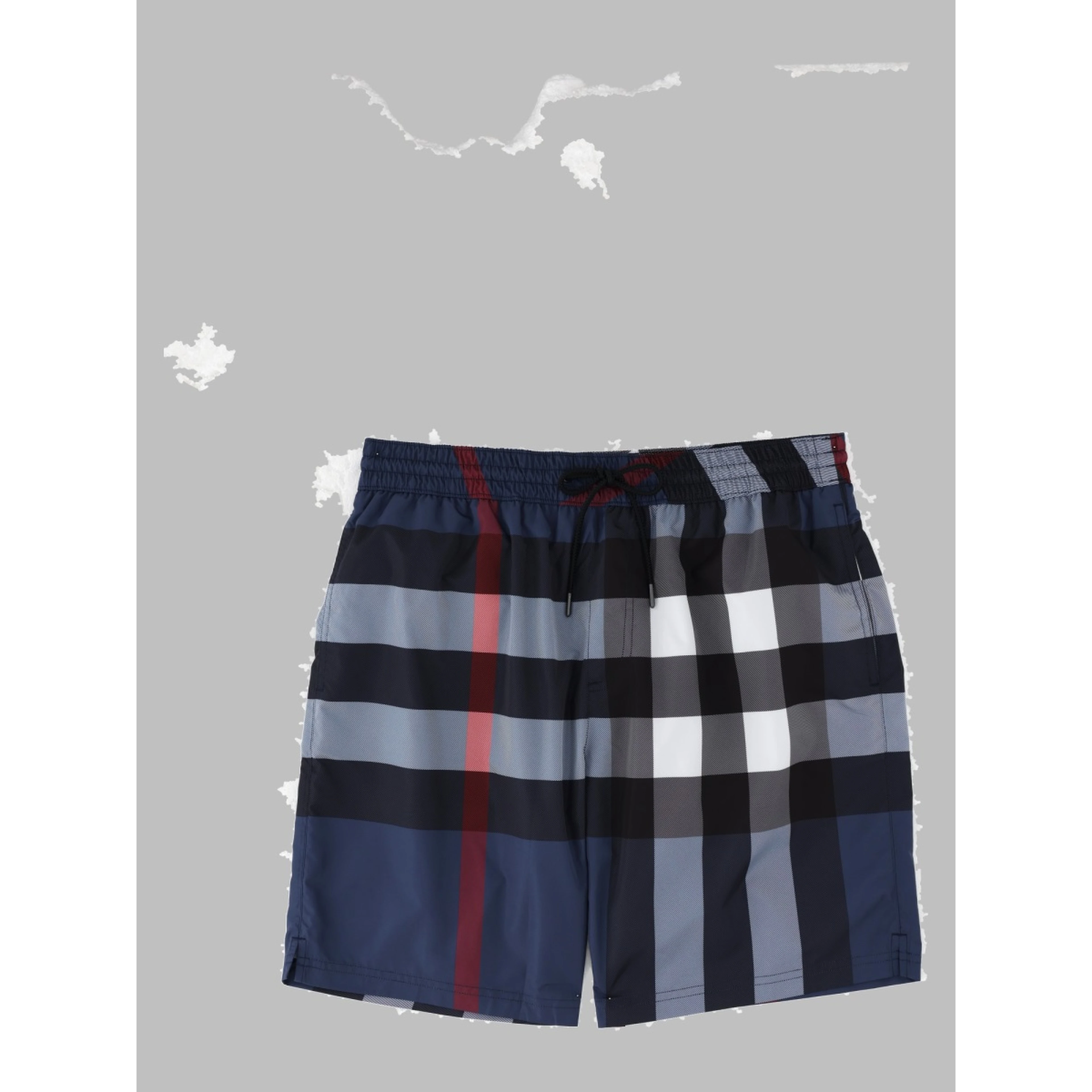 Boxer mare Check