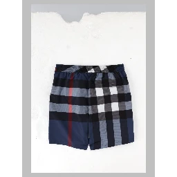 Boxer mare Check