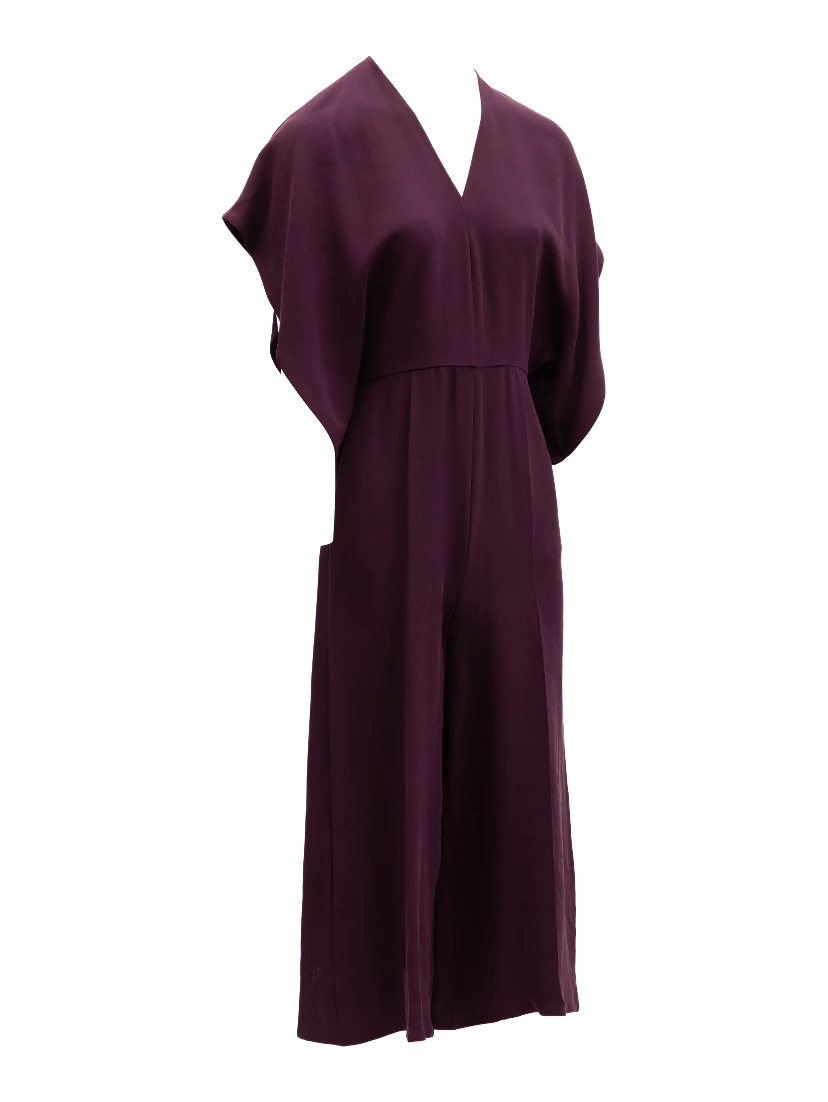 Women Dark Purple Jumpsuit