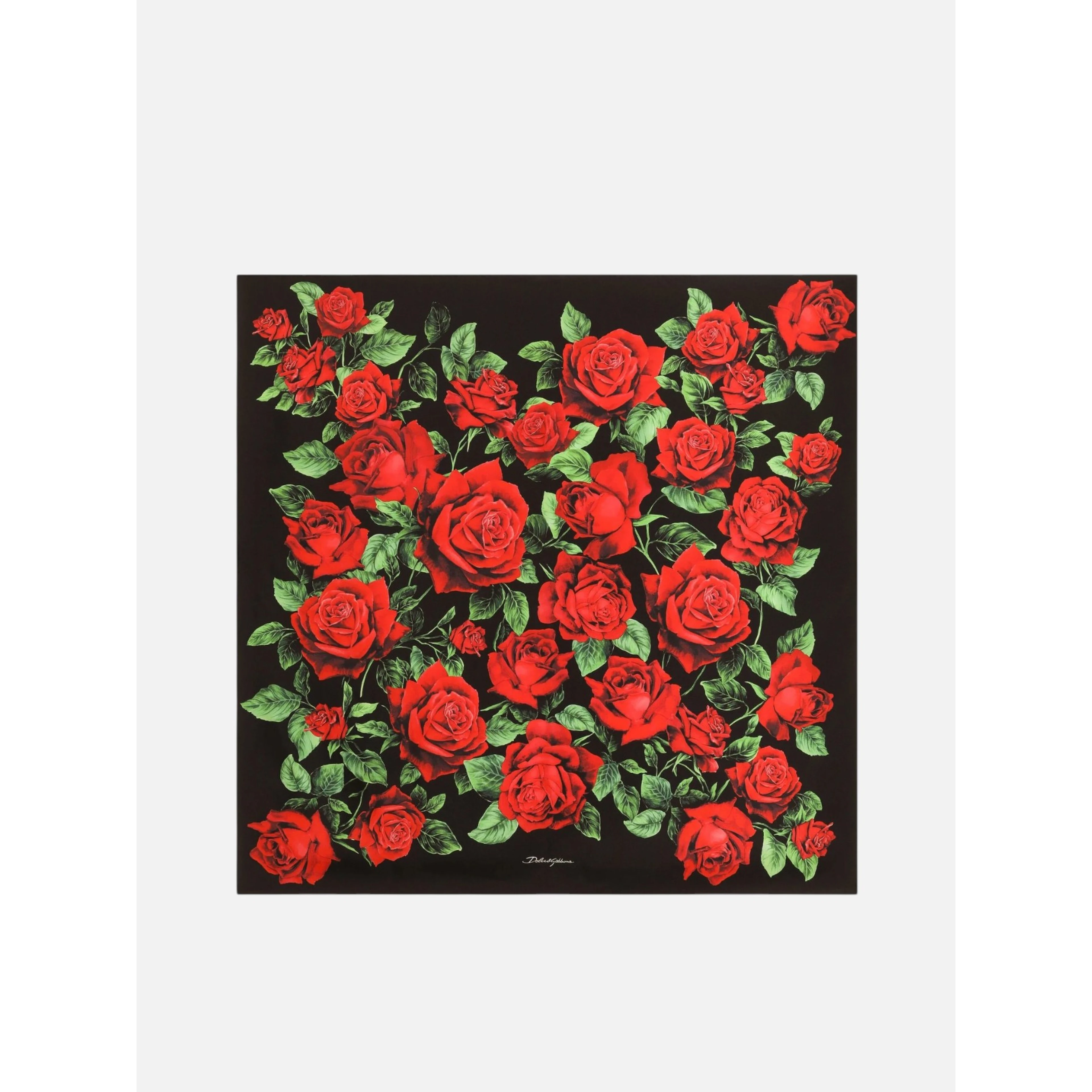 DOLCE & GABBANA scarf