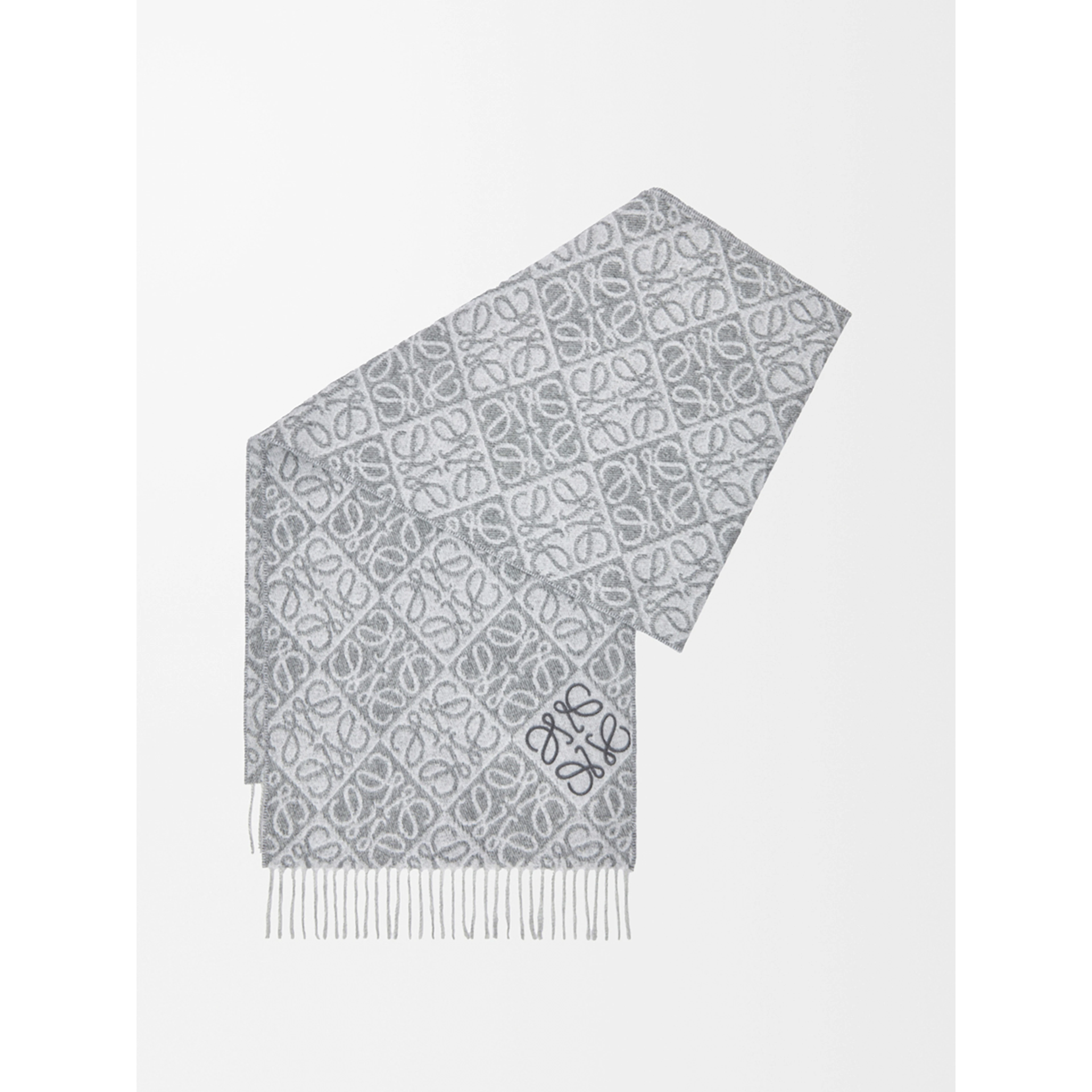 LOEWE scarf