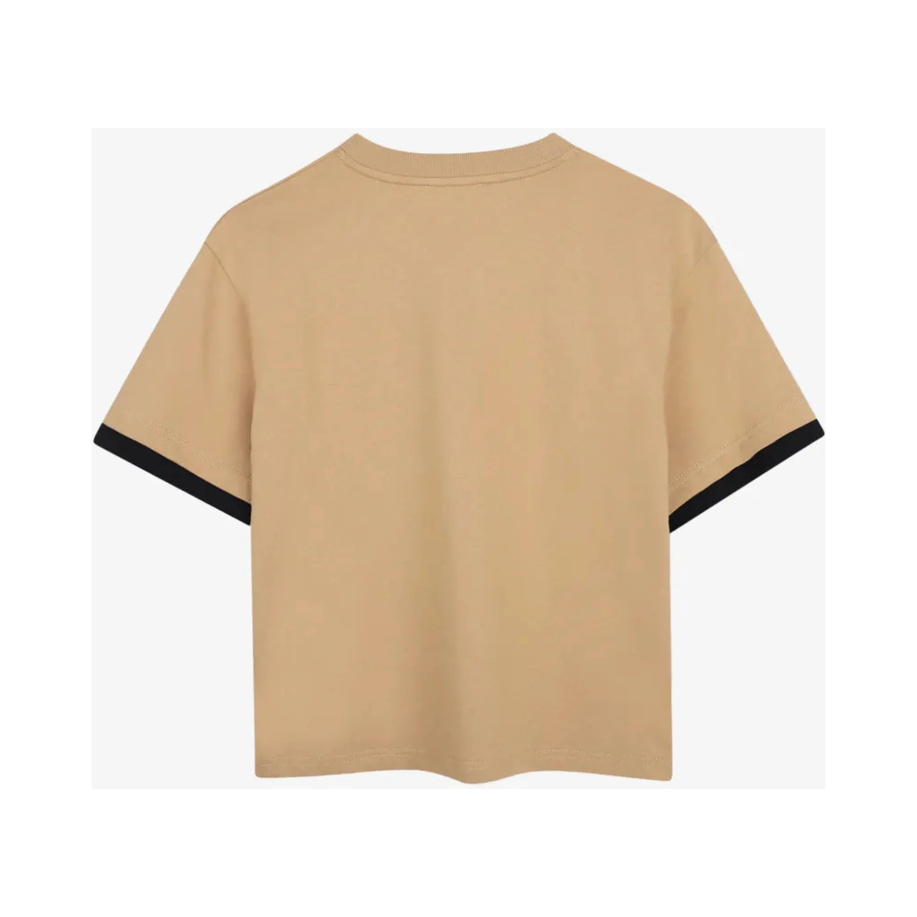Lanvin T-shirts and Polos