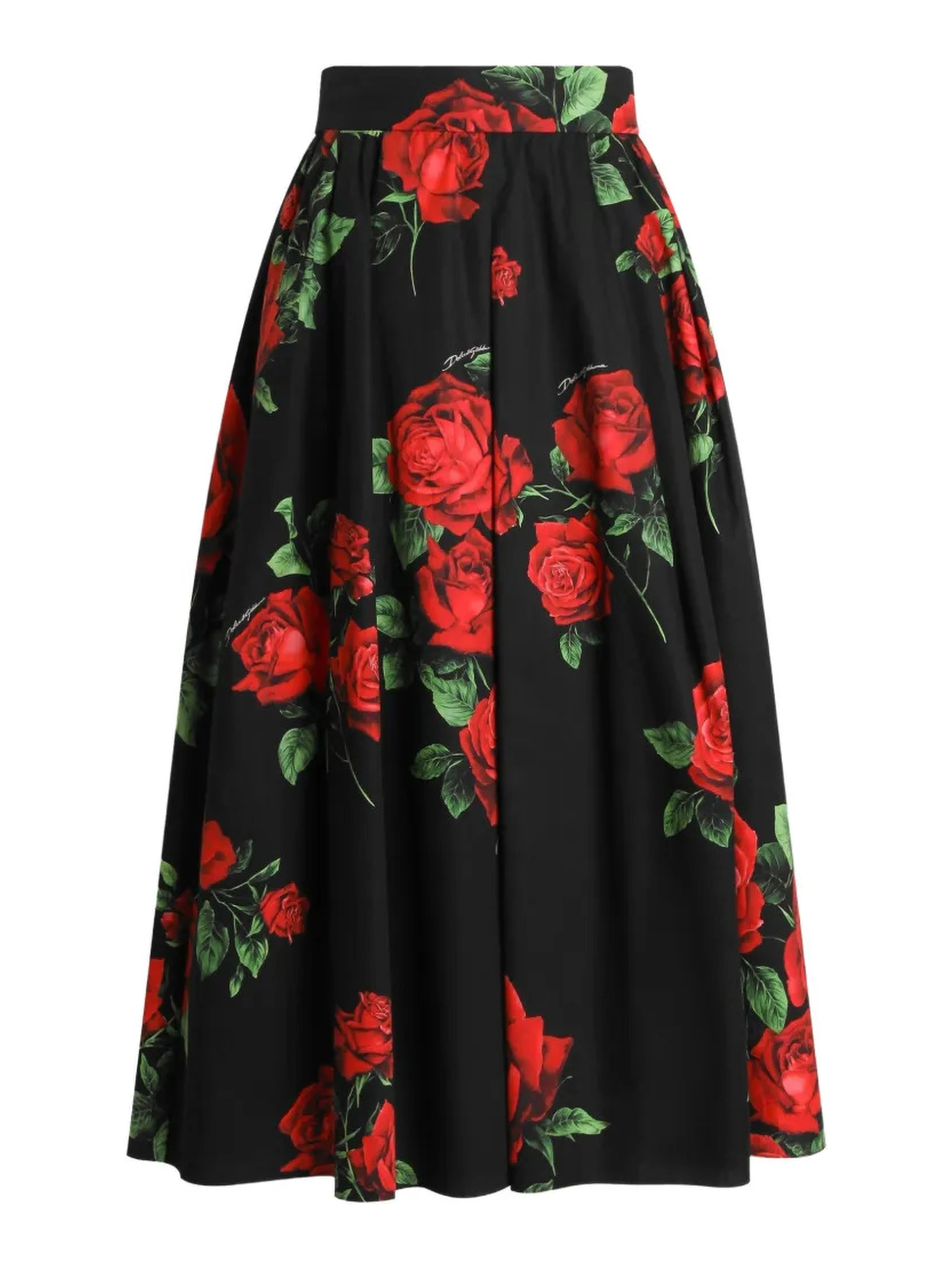 Dolce & Gabbana Skirts