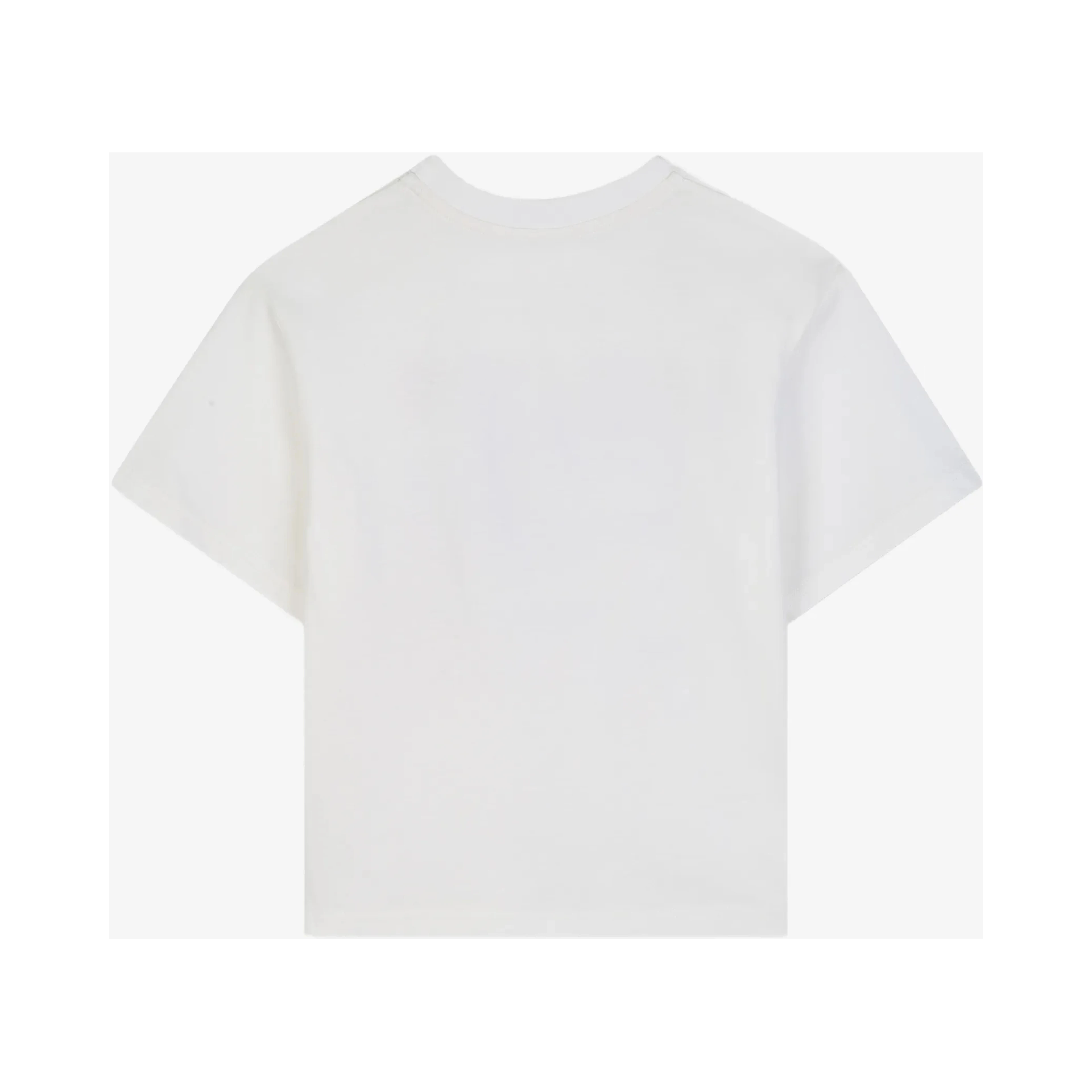 Lanvin T-shirts and Polos