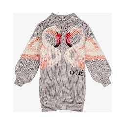 Chloè Dresses