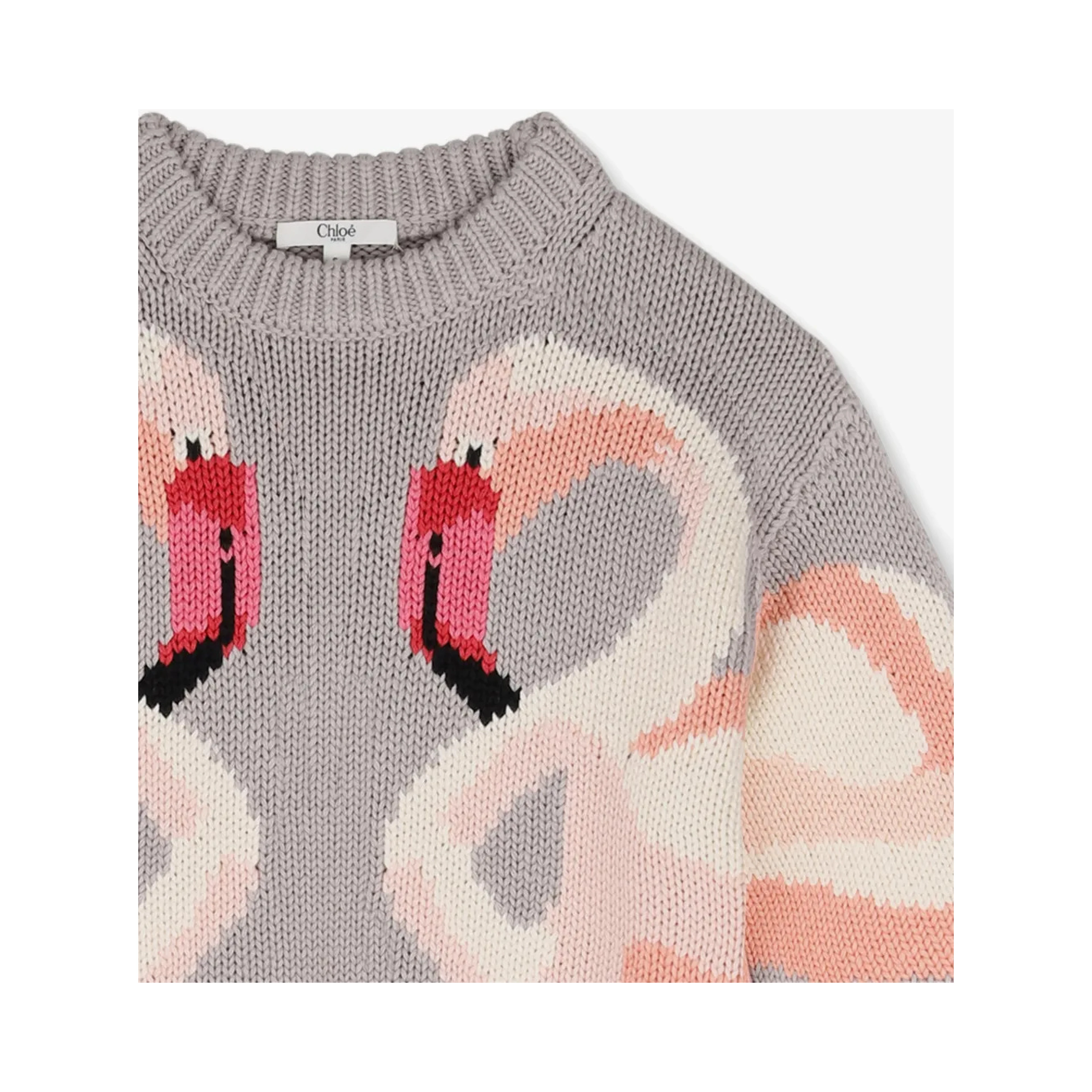 Chloè Dresses