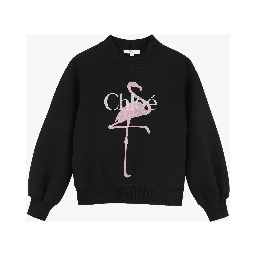 Chloè Sweaters