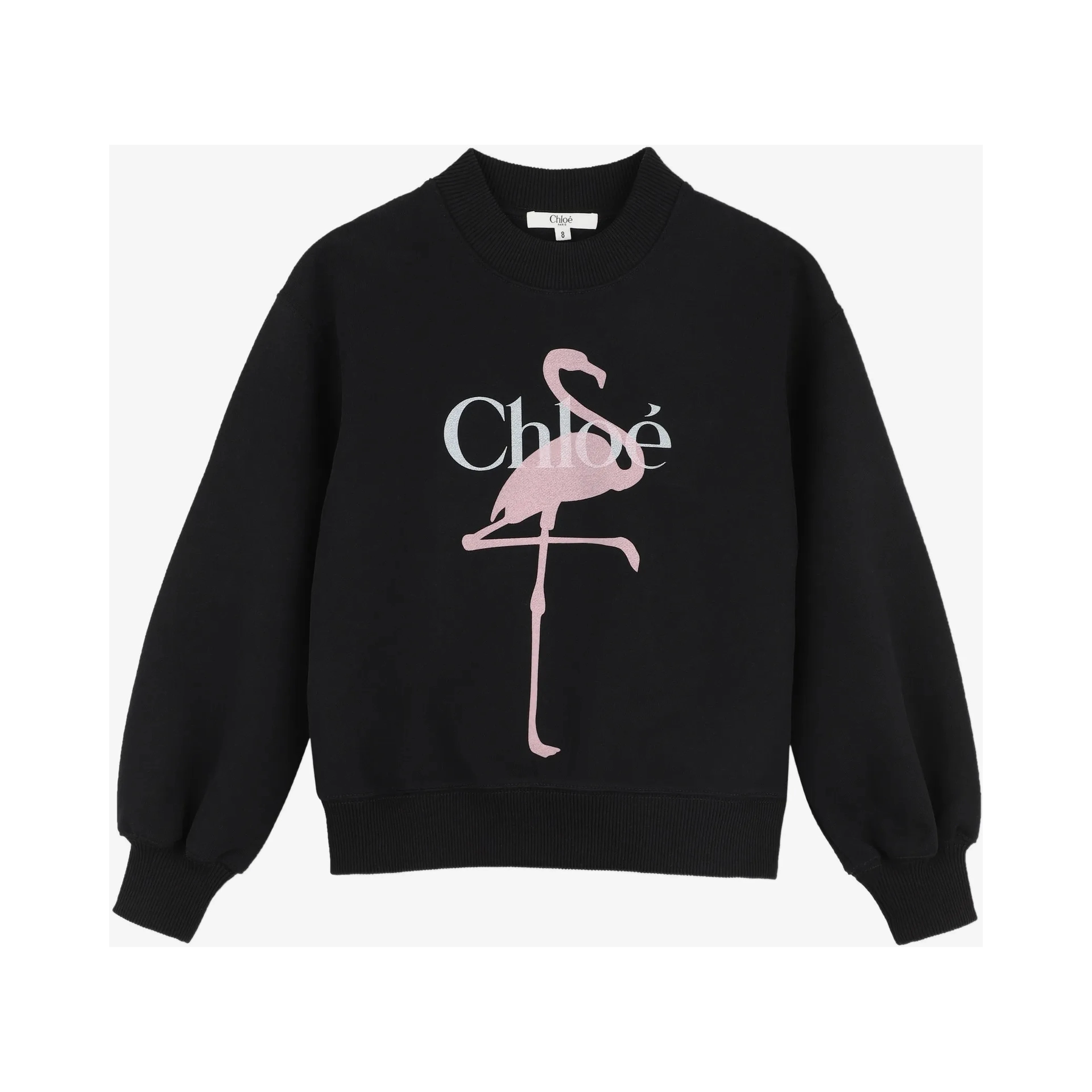 Chloè Sweaters