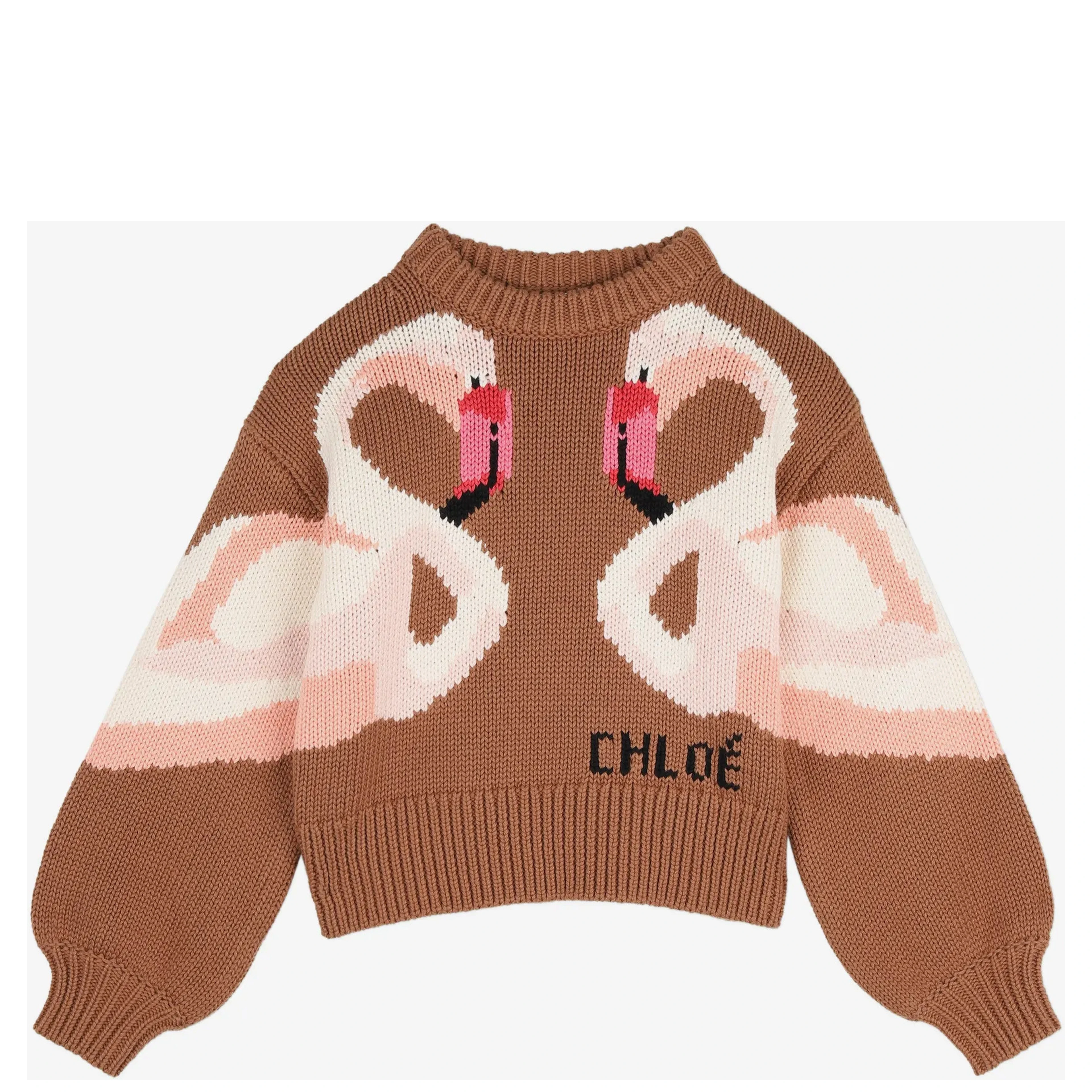 Chloè Sweaters